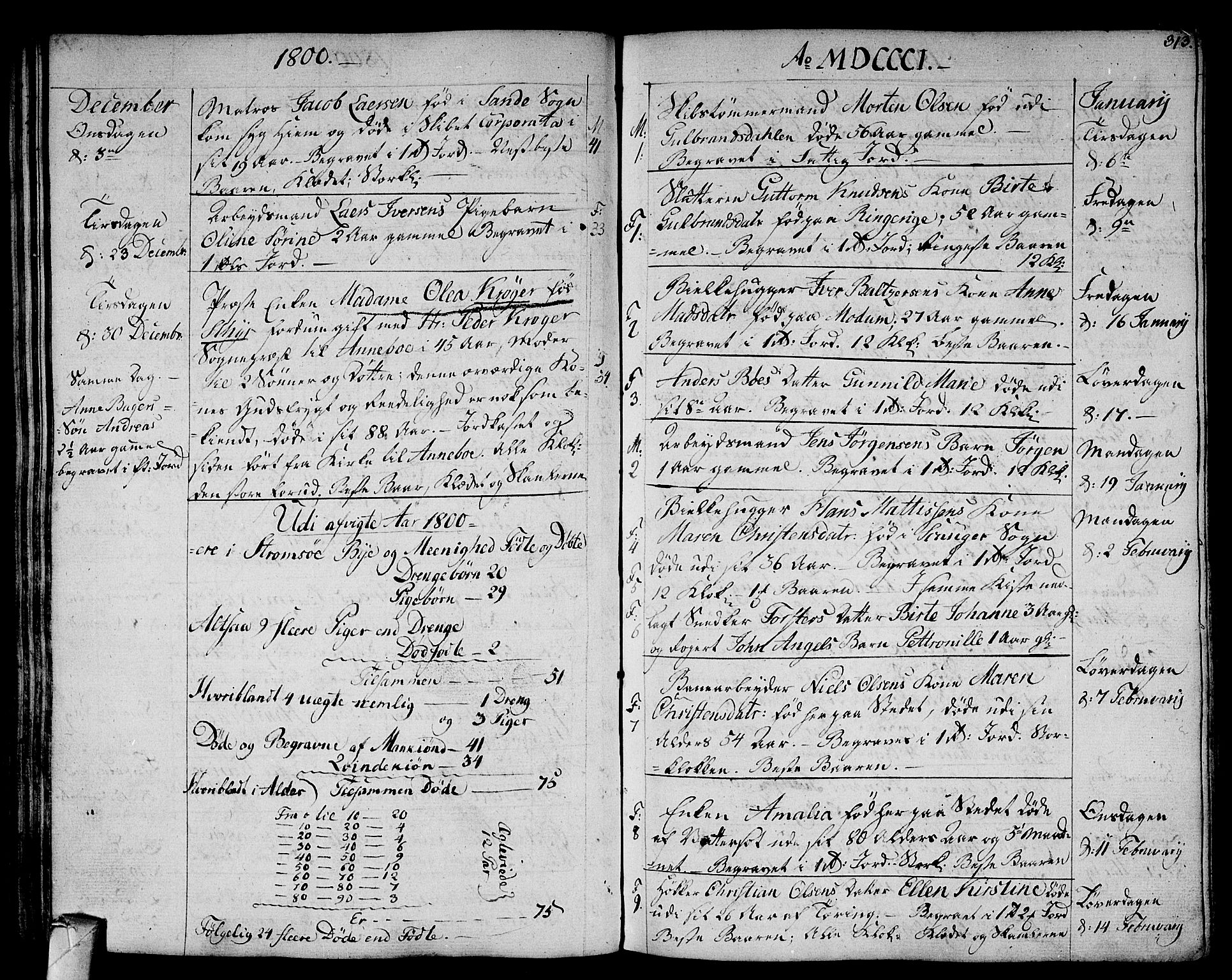 Strømsø kirkebøker, SAKO/A-246/F/Fa/L0010: Parish register (official) no. I 10, 1792-1822, p. 313