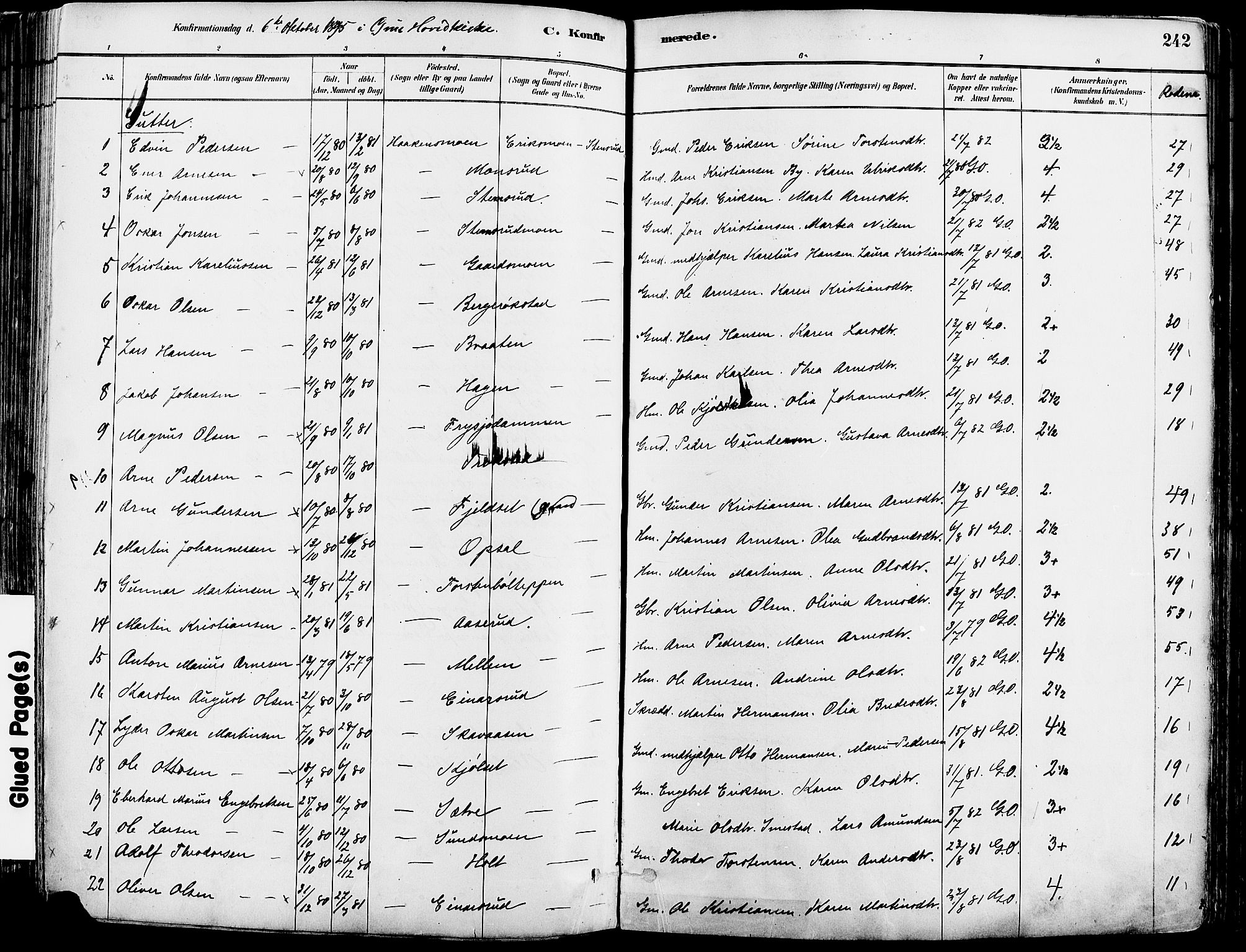 Grue prestekontor, AV/SAH-PREST-036/H/Ha/Haa/L0012: Parish register (official) no. 12, 1881-1897, p. 242