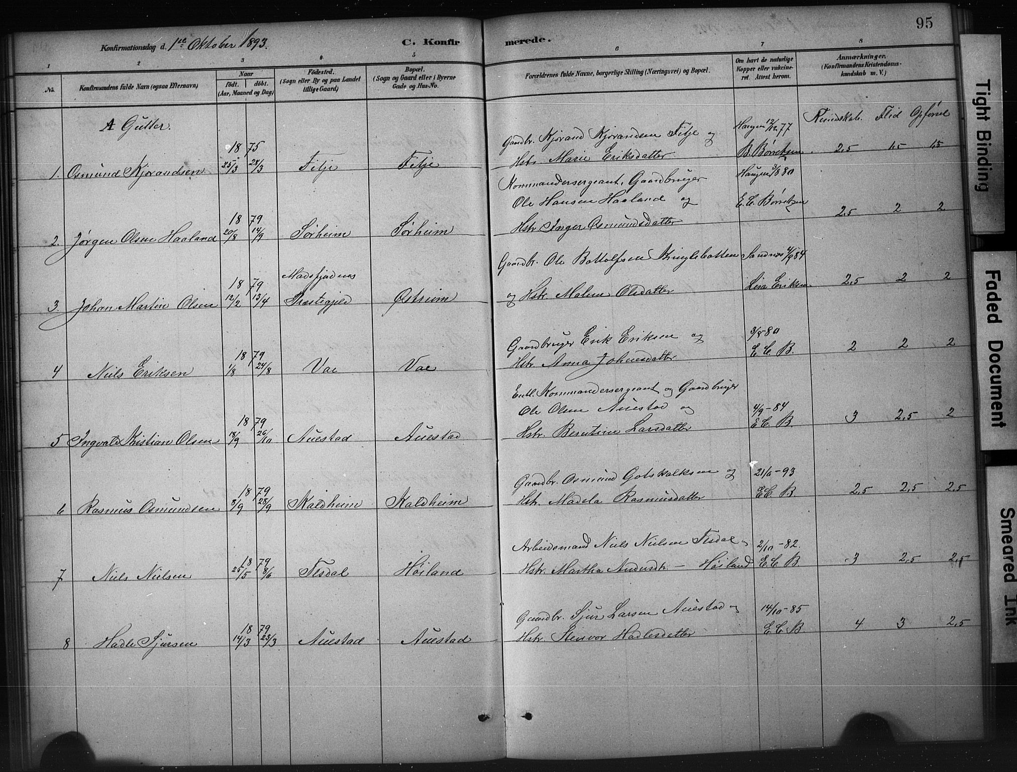 Etne sokneprestembete, SAB/A-75001/H/Hab: Parish register (copy) no. A 5, 1879-1896, p. 95