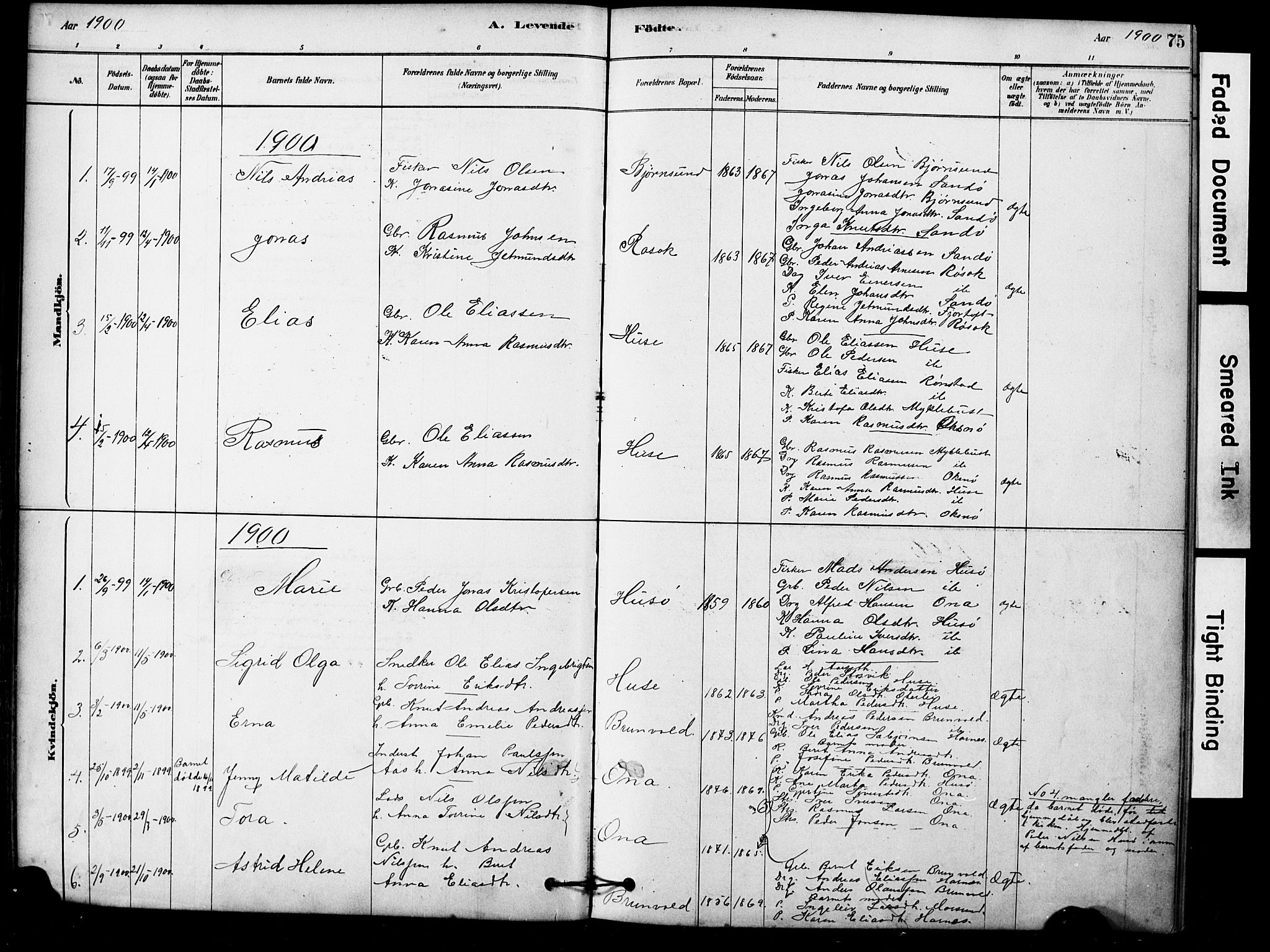 Ministerialprotokoller, klokkerbøker og fødselsregistre - Møre og Romsdal, AV/SAT-A-1454/561/L0729: Parish register (official) no. 561A03, 1878-1900, p. 75