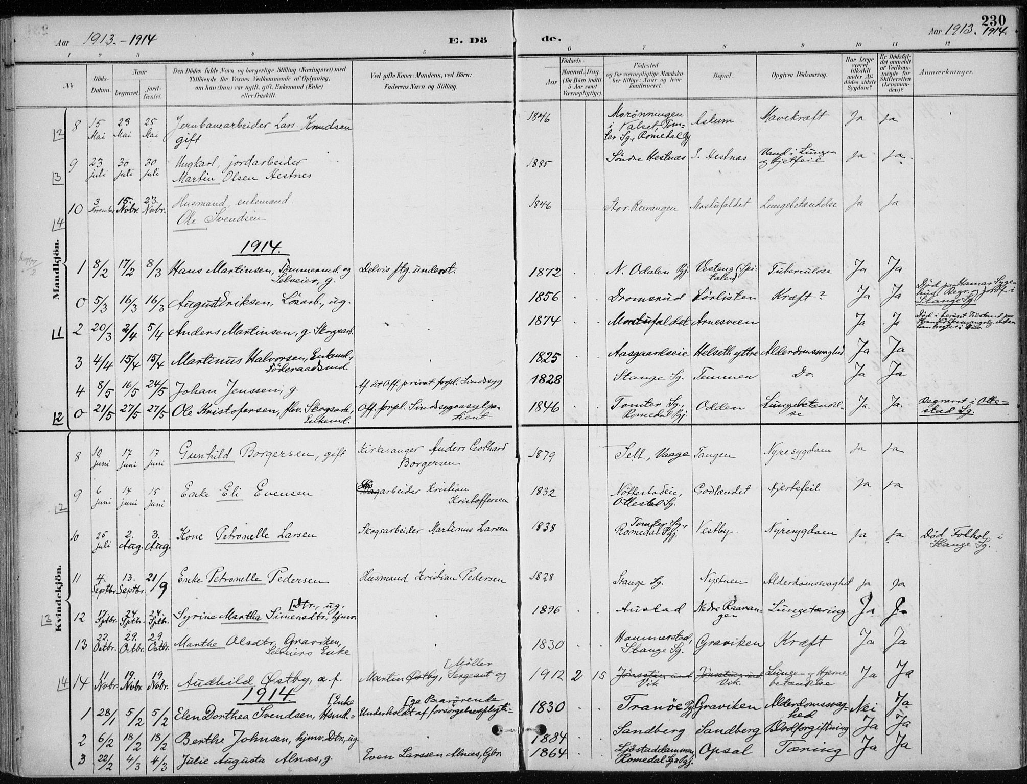 Stange prestekontor, AV/SAH-PREST-002/K/L0023: Parish register (official) no. 23, 1897-1920, p. 230