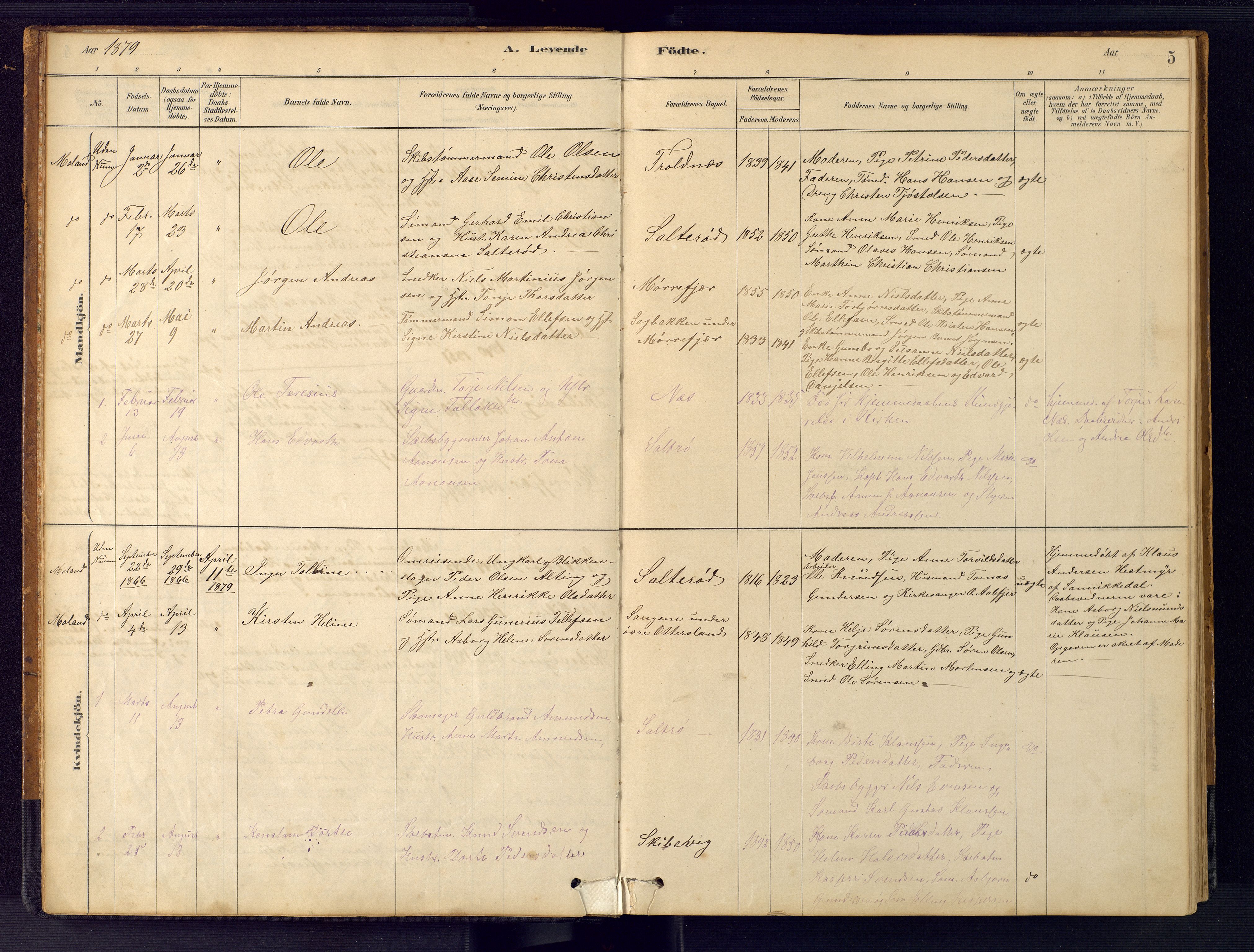 Austre Moland sokneprestkontor, AV/SAK-1111-0001/F/Fb/Fbb/L0001: Parish register (copy) no. B 1, 1878-1904, p. 5