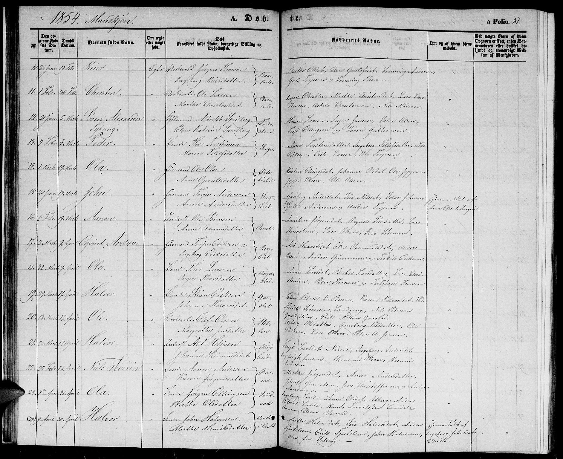 Holt sokneprestkontor, SAK/1111-0021/F/Fb/L0007: Parish register (copy) no. B 7, 1849-1858, p. 51
