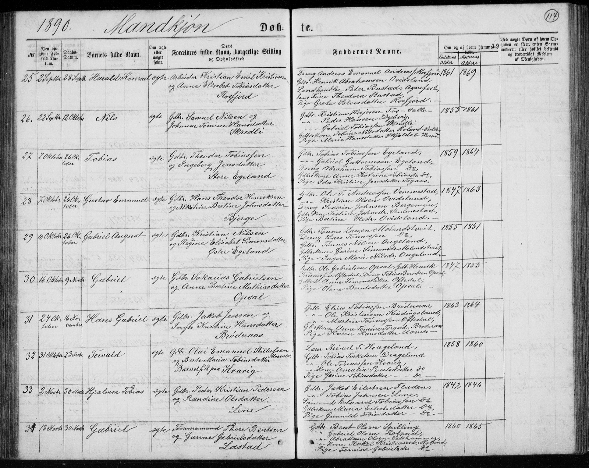 Lyngdal sokneprestkontor, SAK/1111-0029/F/Fb/Fbc/L0004: Parish register (copy) no. B 4, 1878-1896, p. 114