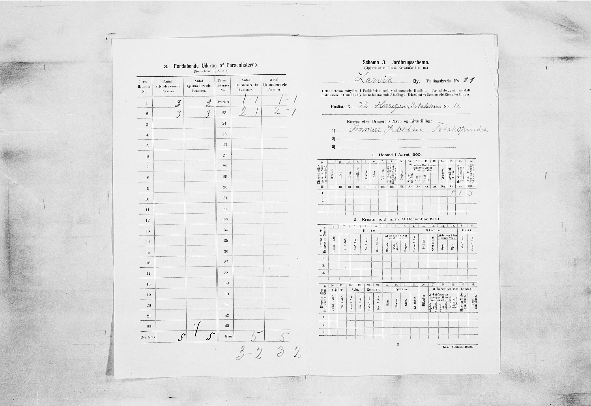 RA, 1900 census for Larvik, 1900, p. 1093