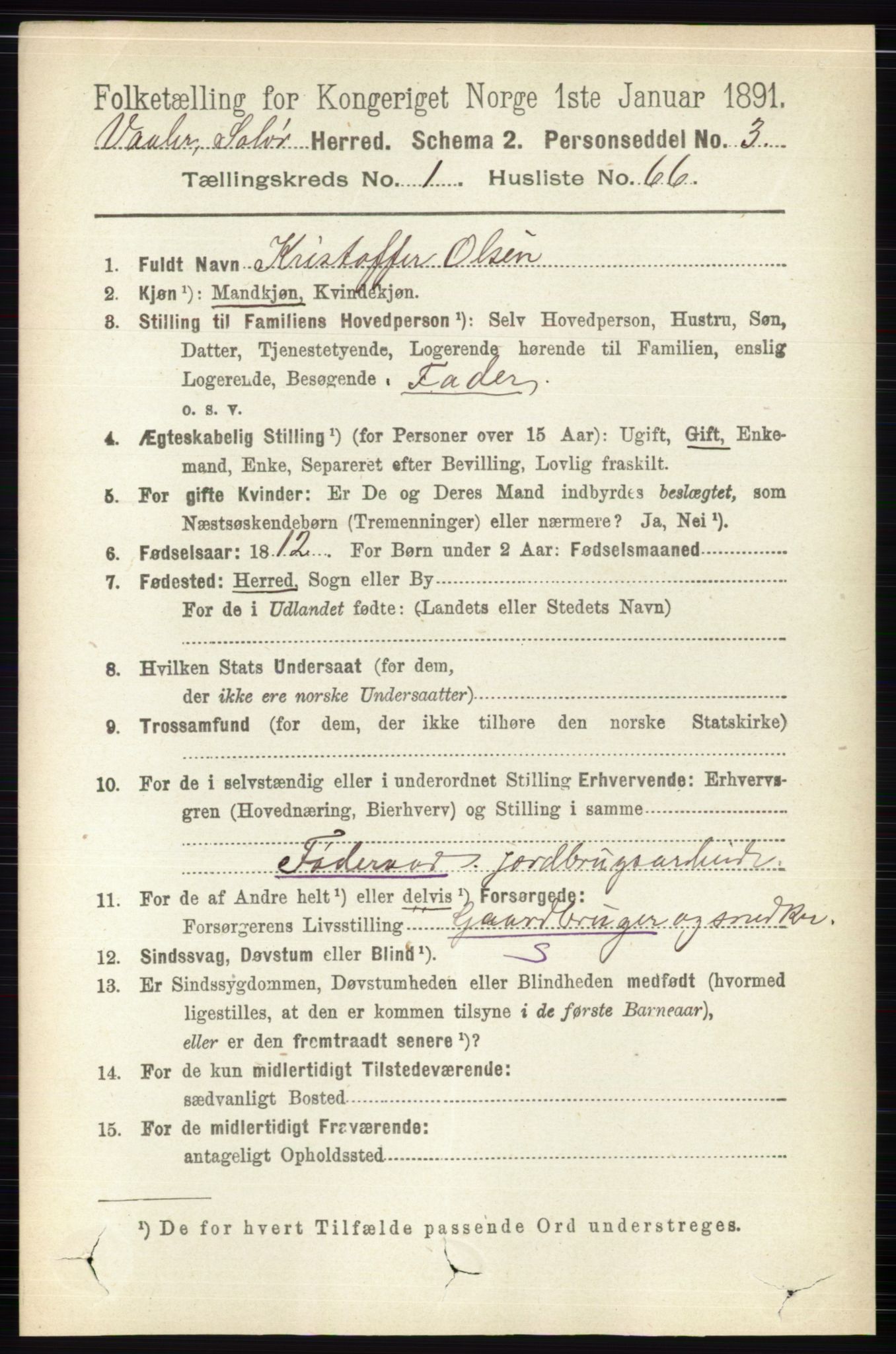 RA, 1891 census for 0426 Våler, 1891, p. 422