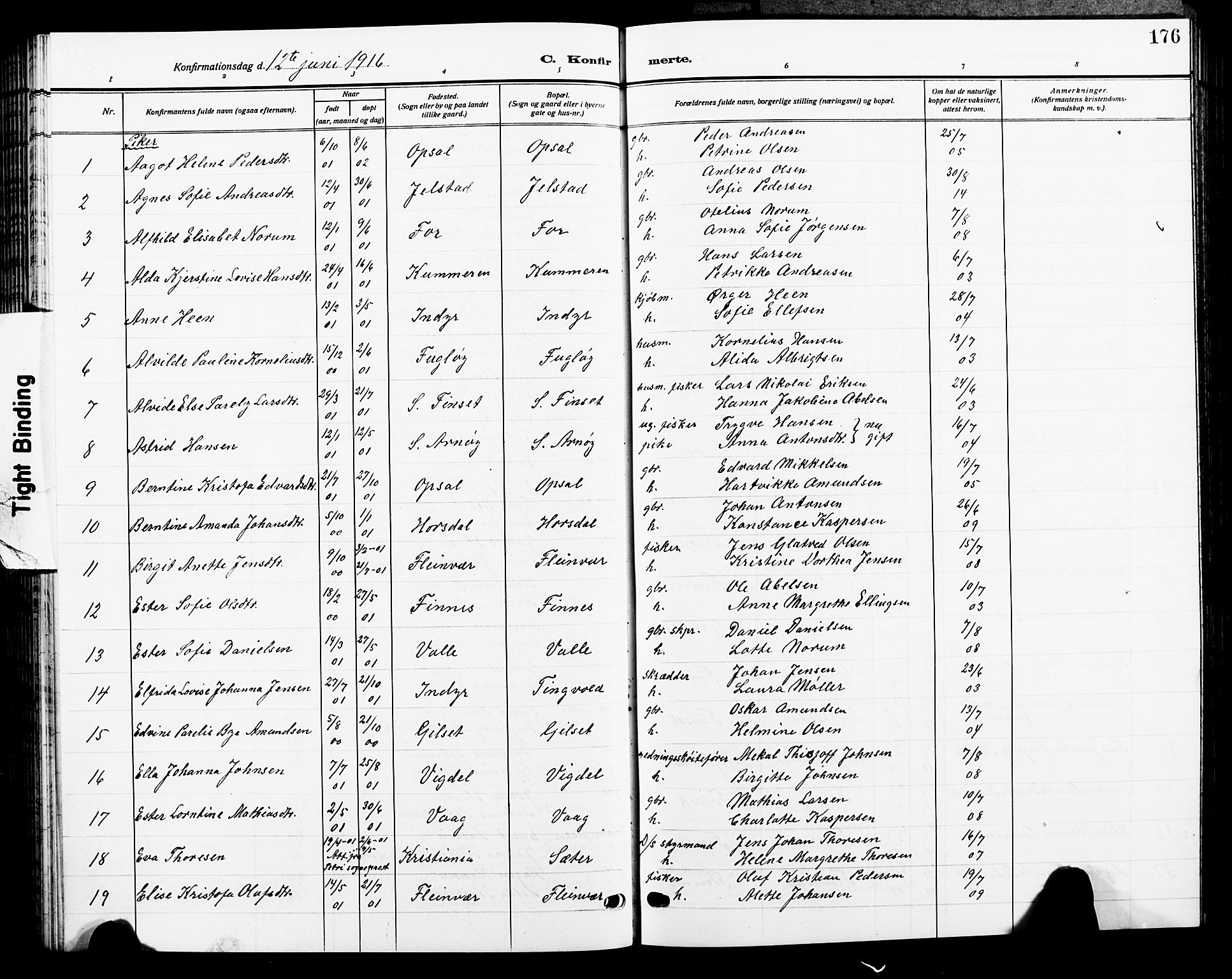 Ministerialprotokoller, klokkerbøker og fødselsregistre - Nordland, SAT/A-1459/805/L0110: Parish register (copy) no. 805C06, 1909-1924, p. 176