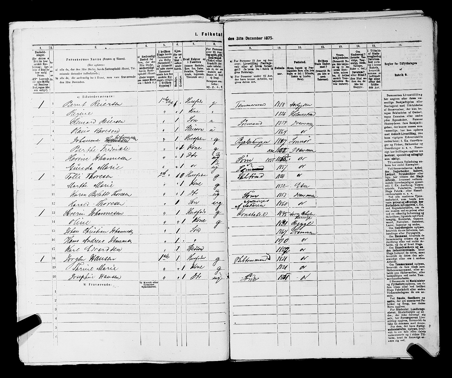 SAKO, 1875 census for 0602 Drammen, 1875, p. 3065