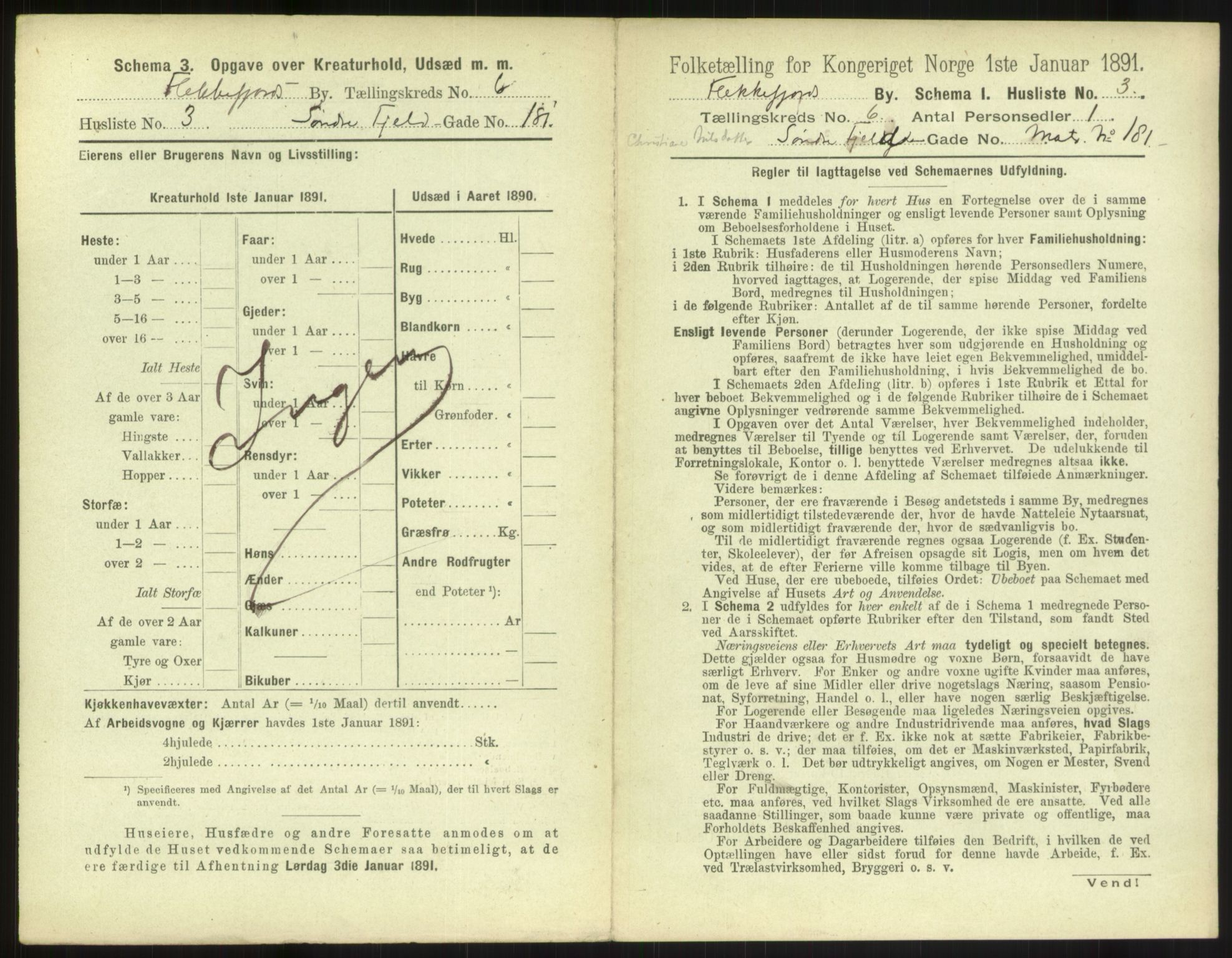 RA, 1891 census for 1004 Flekkefjord, 1891, p. 228