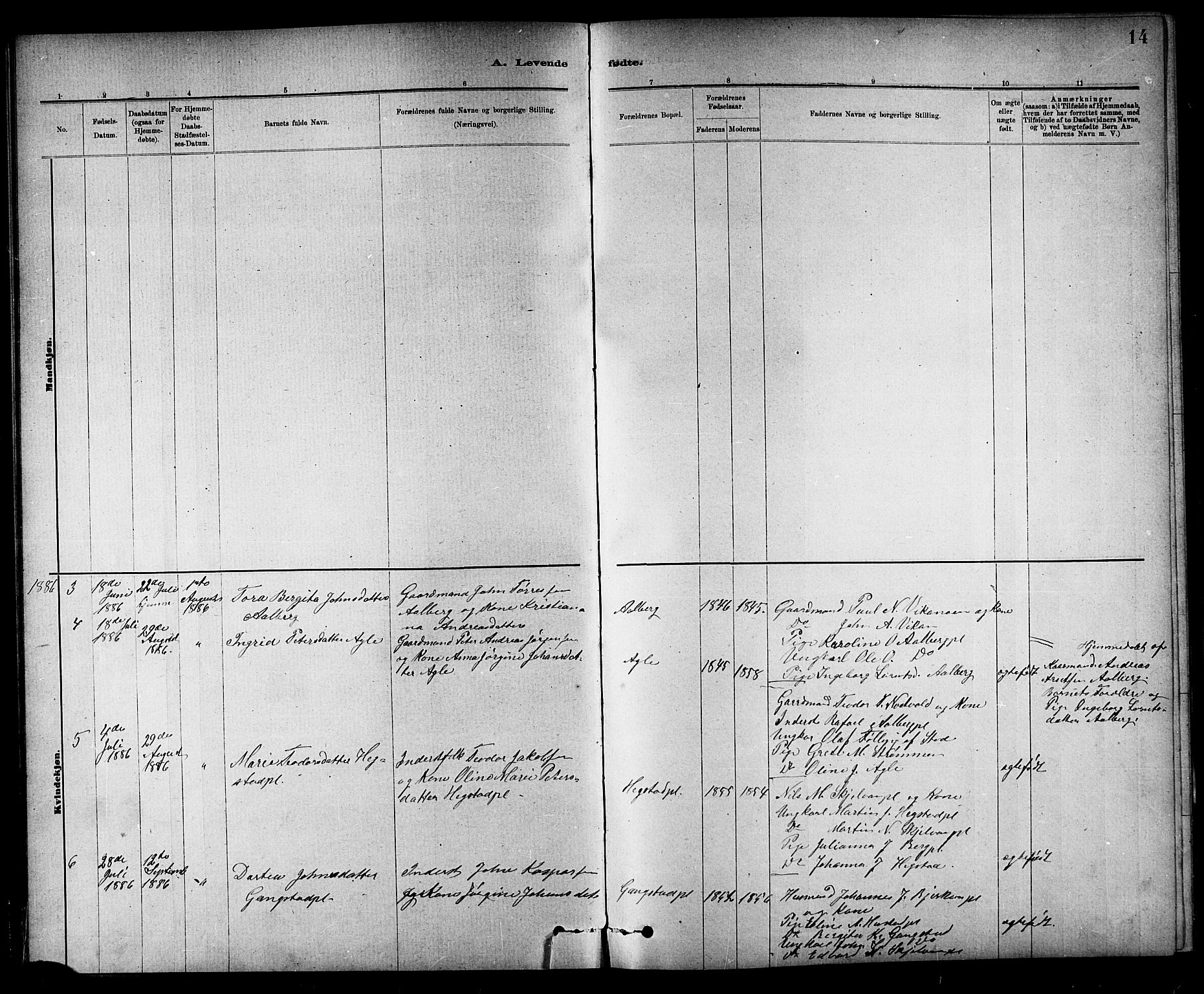 Ministerialprotokoller, klokkerbøker og fødselsregistre - Nord-Trøndelag, AV/SAT-A-1458/732/L0318: Parish register (copy) no. 732C02, 1881-1911, p. 14