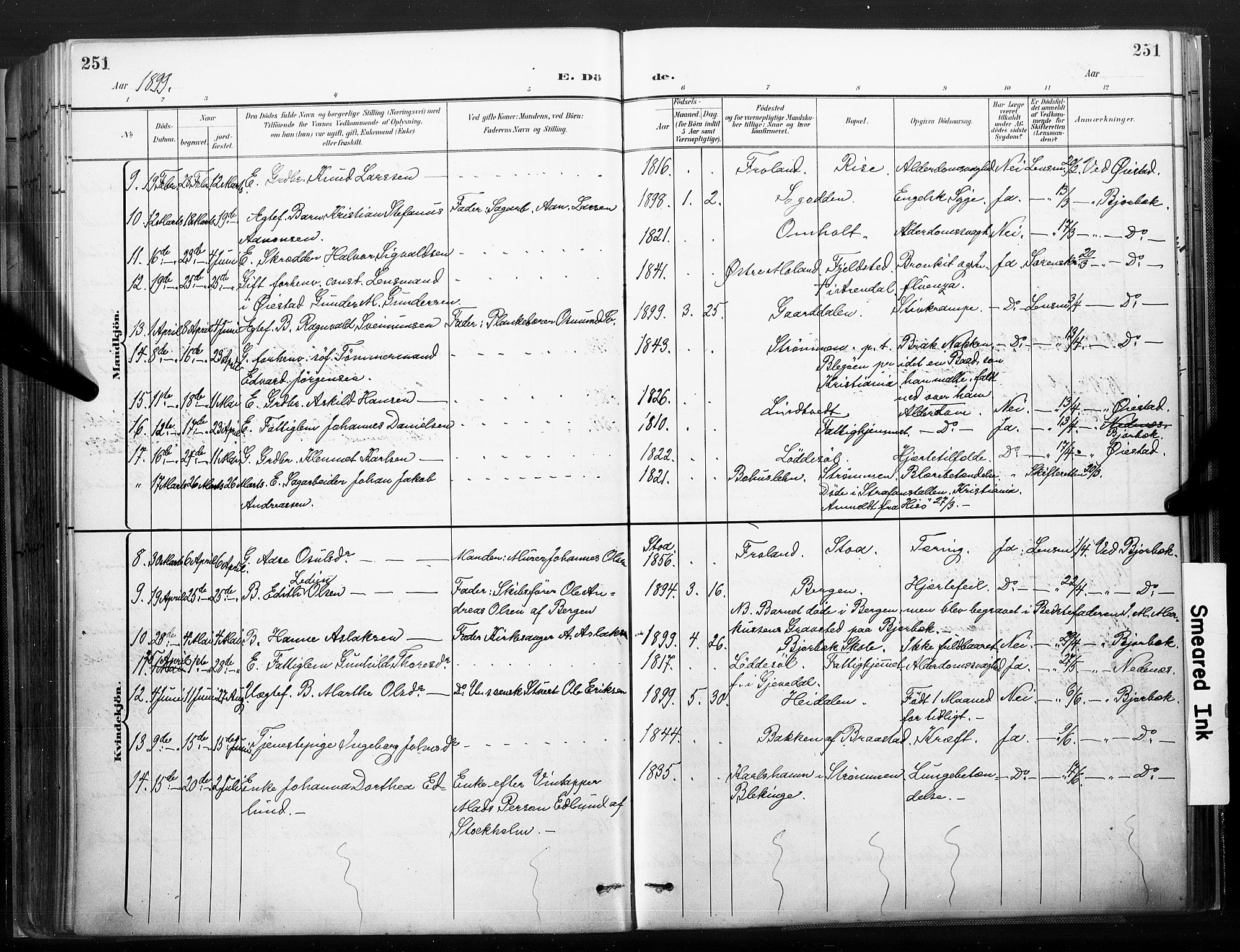 Øyestad sokneprestkontor, AV/SAK-1111-0049/F/Fa/L0018: Parish register (official) no. A 18, 1897-1907, p. 251