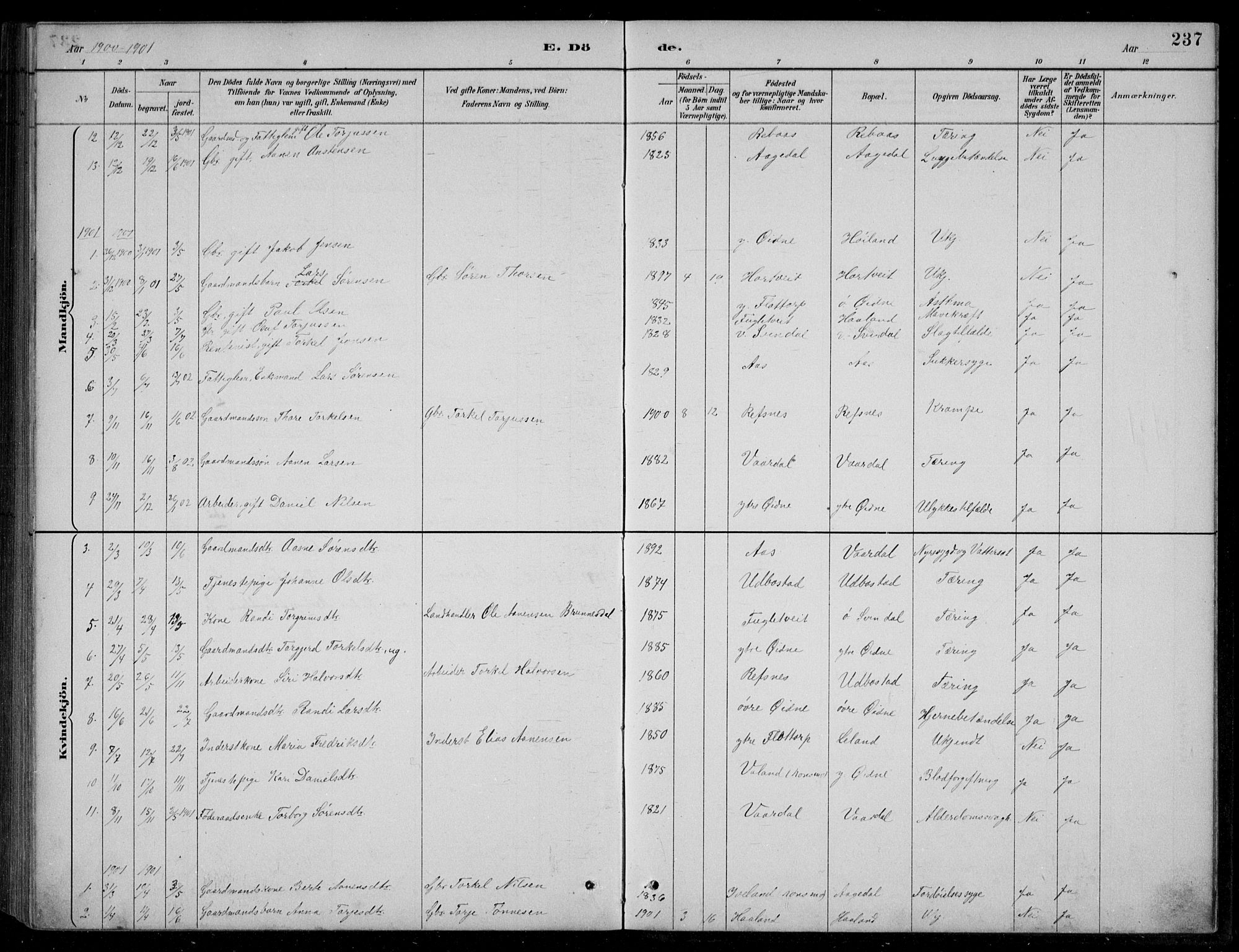 Bjelland sokneprestkontor, SAK/1111-0005/F/Fb/Fbc/L0003: Parish register (copy) no. B 3, 1887-1924, p. 237