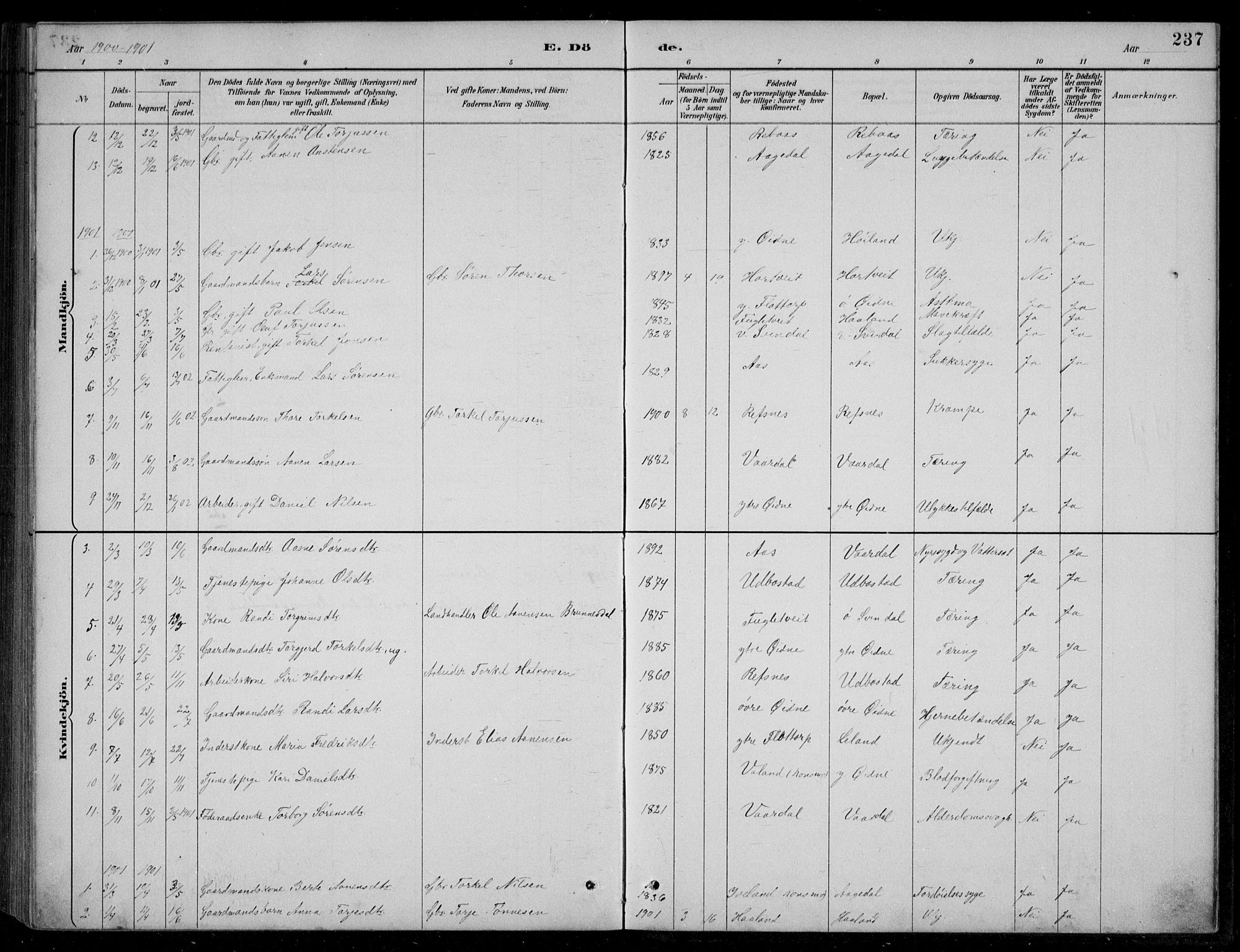 Bjelland sokneprestkontor, AV/SAK-1111-0005/F/Fb/Fbc/L0003: Parish register (copy) no. B 3, 1887-1924, p. 237