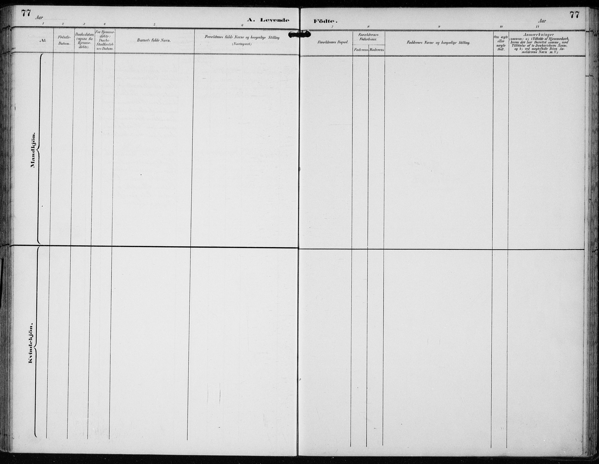 Lunder kirkebøker, AV/SAKO-A-629/F/Fb/L0001: Parish register (official) no. II 1, 1893-1916, p. 77