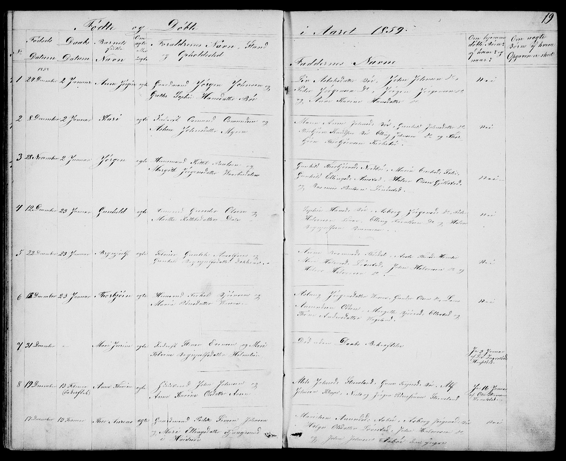 Drangedal kirkebøker, SAKO/A-258/G/Gb/L0001: Parish register (copy) no. II 1, 1856-1894, p. 19