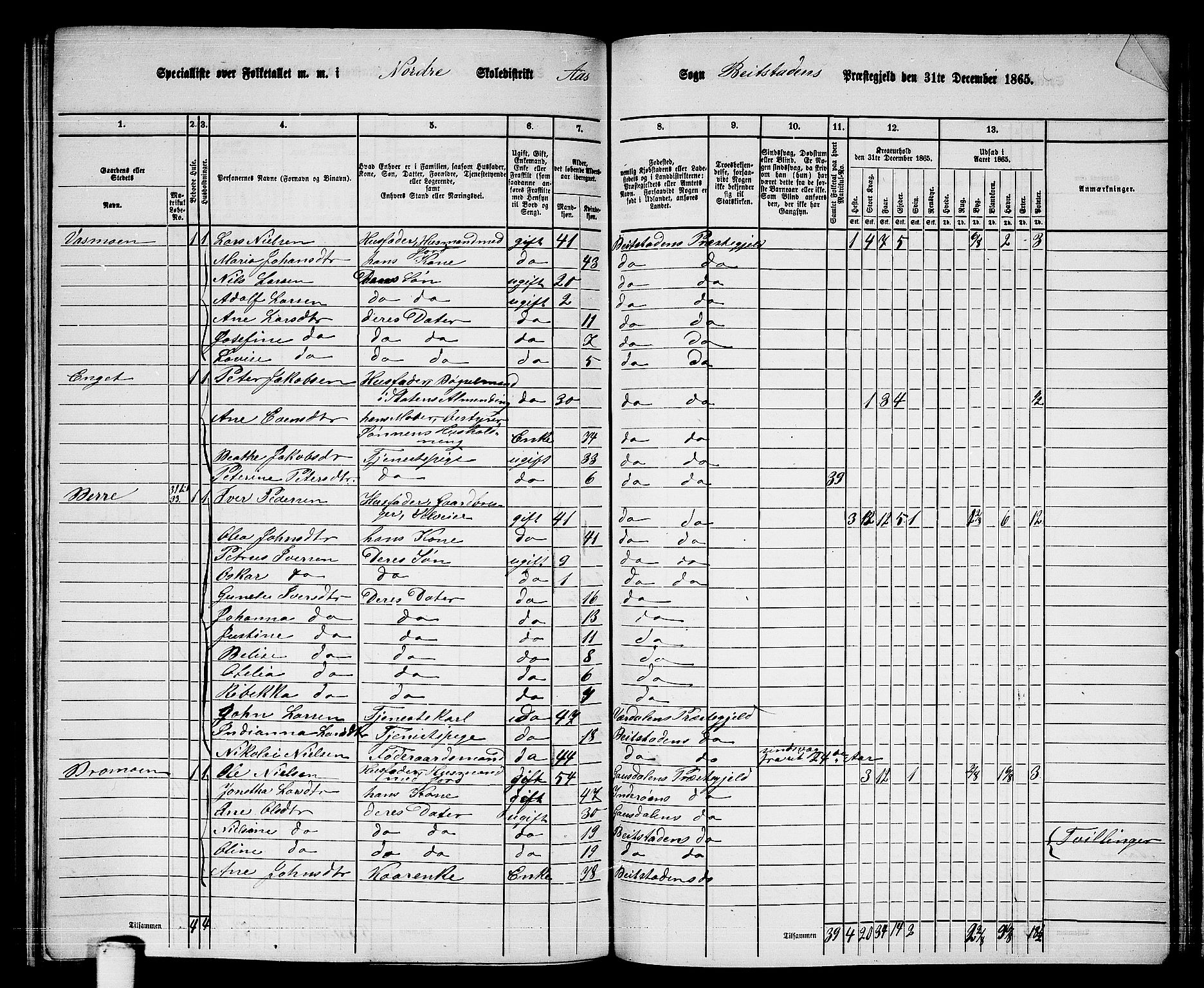 RA, 1865 census for Beitstad, 1865, p. 161