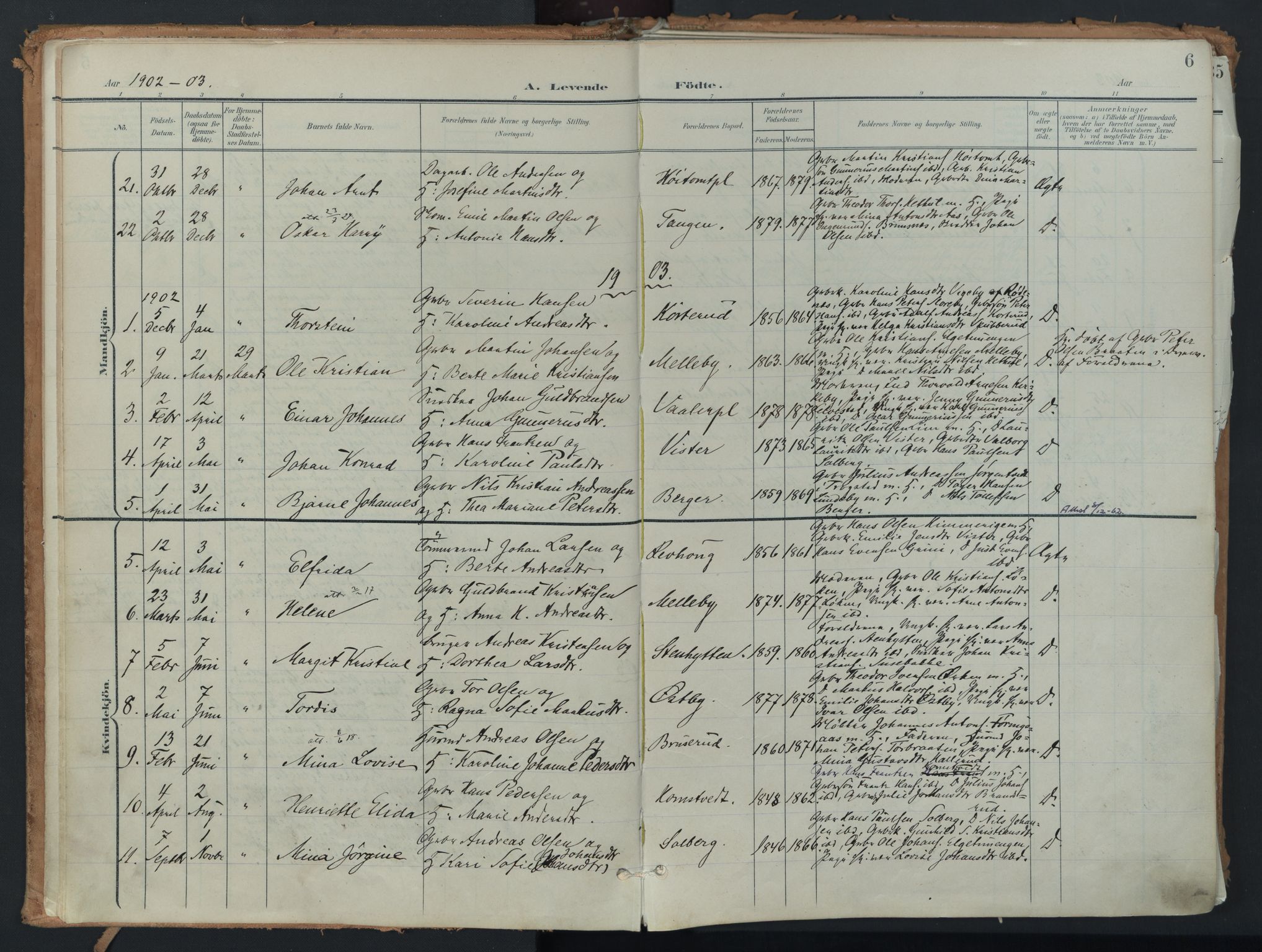 Eidsberg prestekontor Kirkebøker, AV/SAO-A-10905/F/Fb/L0002: Parish register (official) no. II 2, 1901-1933, p. 6