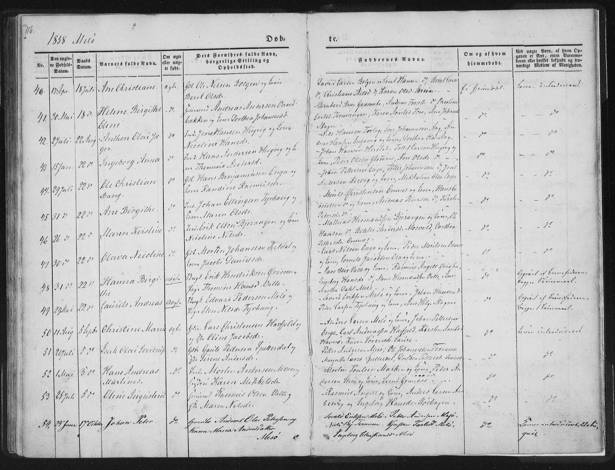 Ministerialprotokoller, klokkerbøker og fødselsregistre - Nordland, AV/SAT-A-1459/841/L0602: Parish register (official) no. 841A08 /2, 1845-1859, p. 116