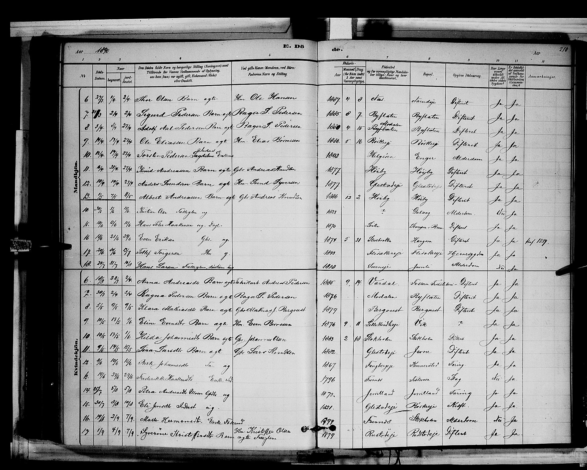 Ringsaker prestekontor, AV/SAH-PREST-014/L/La/L0011: Parish register (copy) no. 11, 1879-1890, p. 210