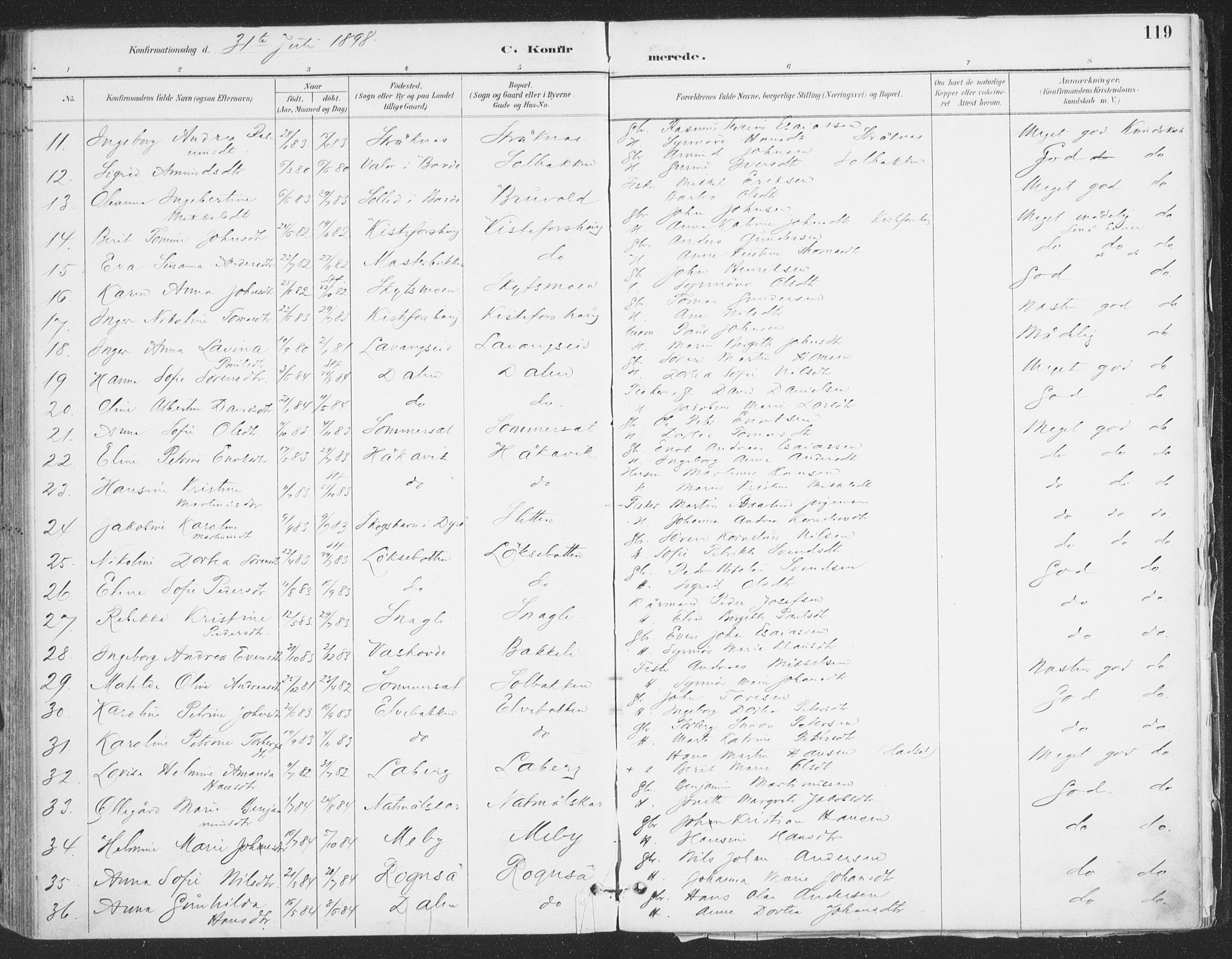 Ibestad sokneprestembete, AV/SATØ-S-0077/H/Ha/Haa/L0015kirke: Parish register (official) no. 15, 1888-1899, p. 119