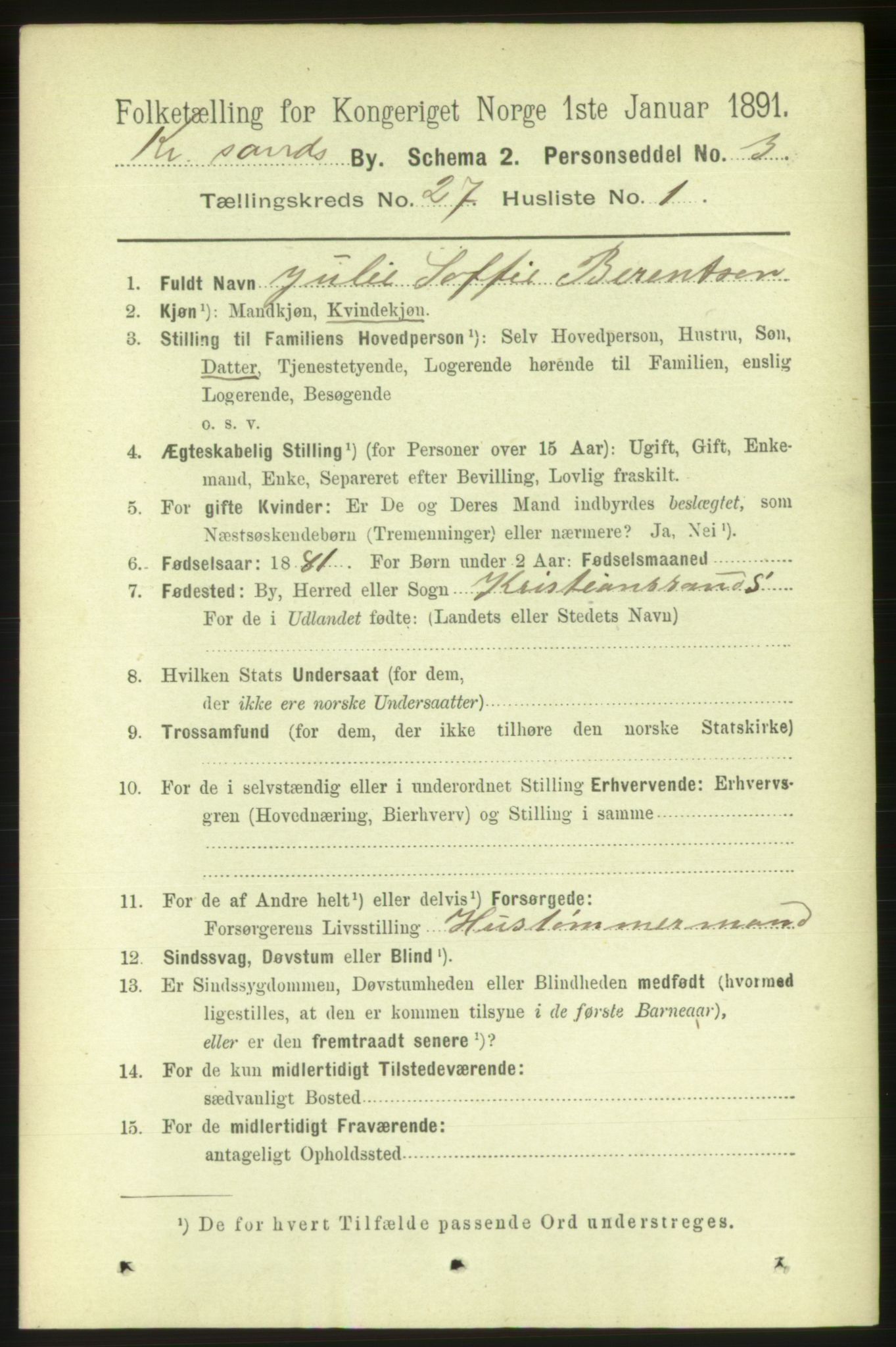 RA, 1891 census for 1001 Kristiansand, 1891, p. 9404