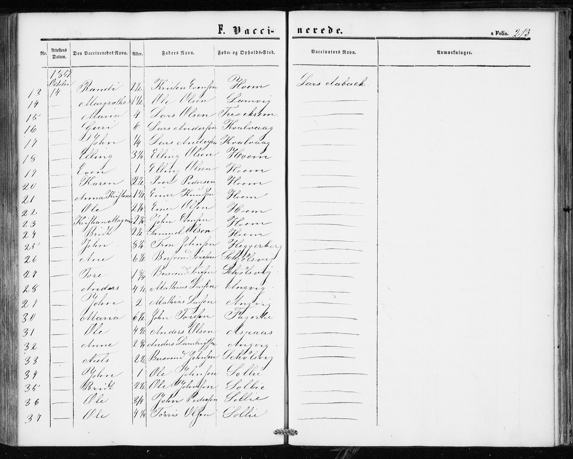 Ministerialprotokoller, klokkerbøker og fødselsregistre - Møre og Romsdal, AV/SAT-A-1454/586/L0985: Parish register (official) no. 586A11, 1857-1866, p. 213