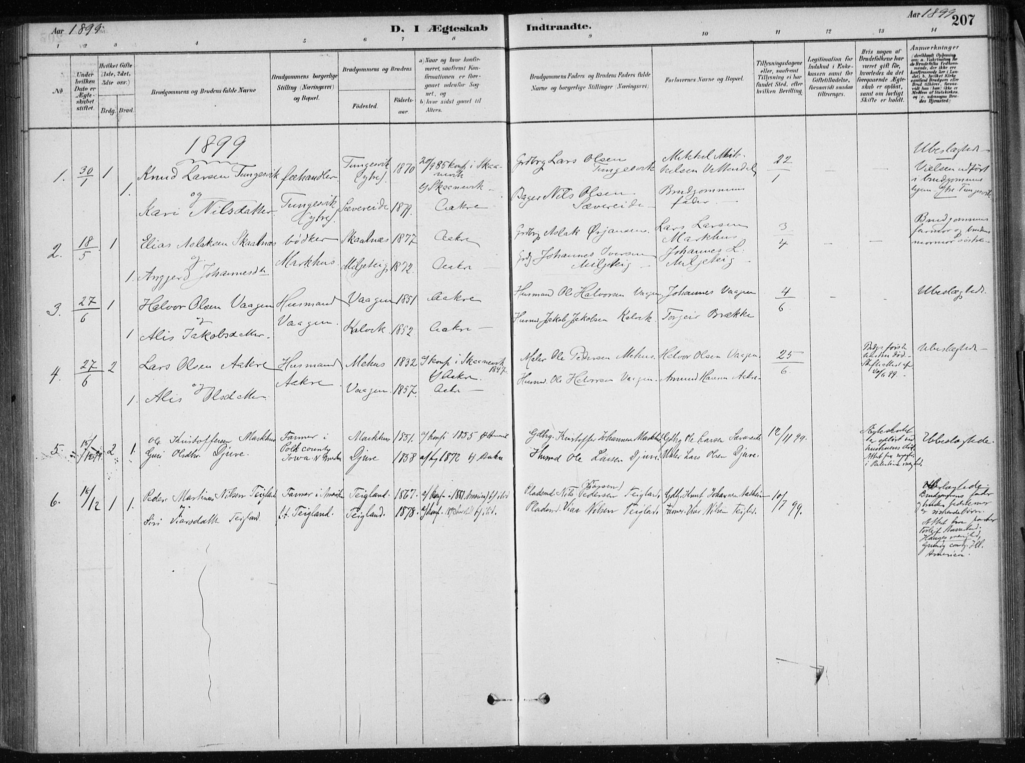 Skånevik sokneprestembete, SAB/A-77801/H/Haa: Parish register (official) no. E  1, 1879-1901, p. 207