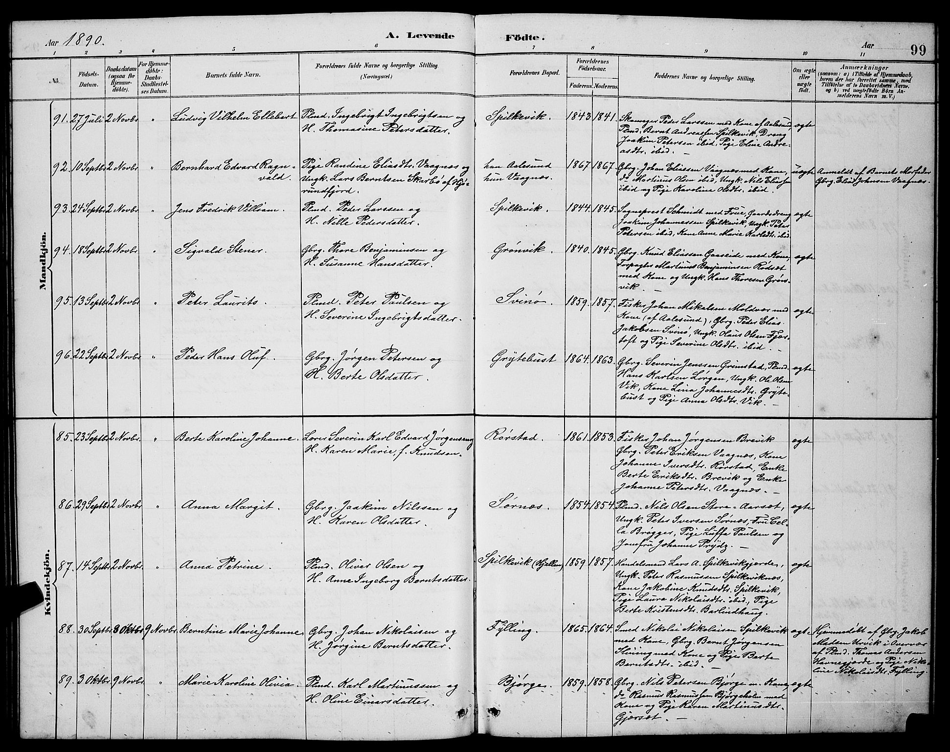 Ministerialprotokoller, klokkerbøker og fødselsregistre - Møre og Romsdal, AV/SAT-A-1454/528/L0431: Parish register (copy) no. 528C12, 1885-1898, p. 99