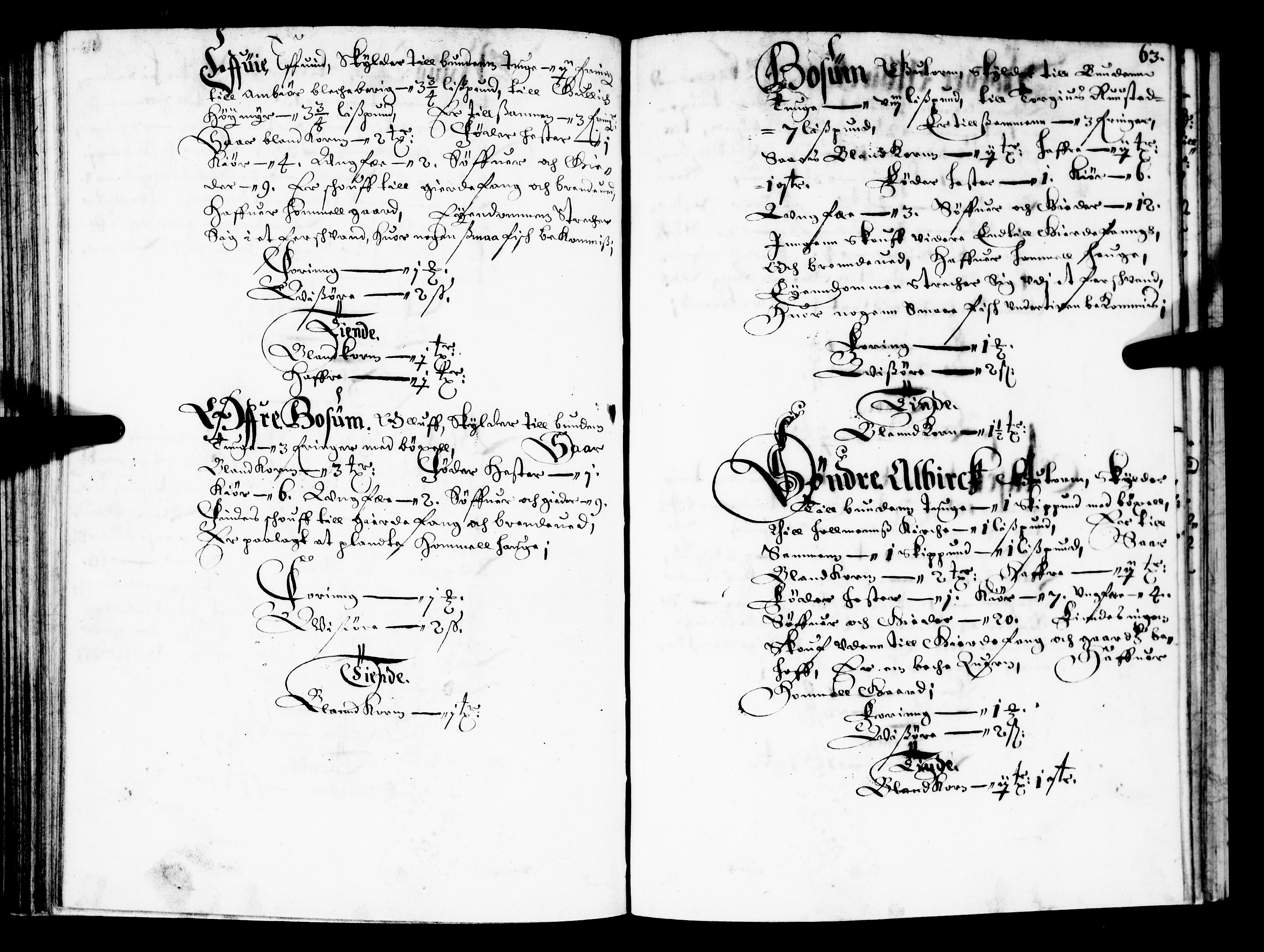 Rentekammeret inntil 1814, Realistisk ordnet avdeling, AV/RA-EA-4070/N/Nb/Nba/L0022: Buskerud fogderi, 1667, p. 62b-63a