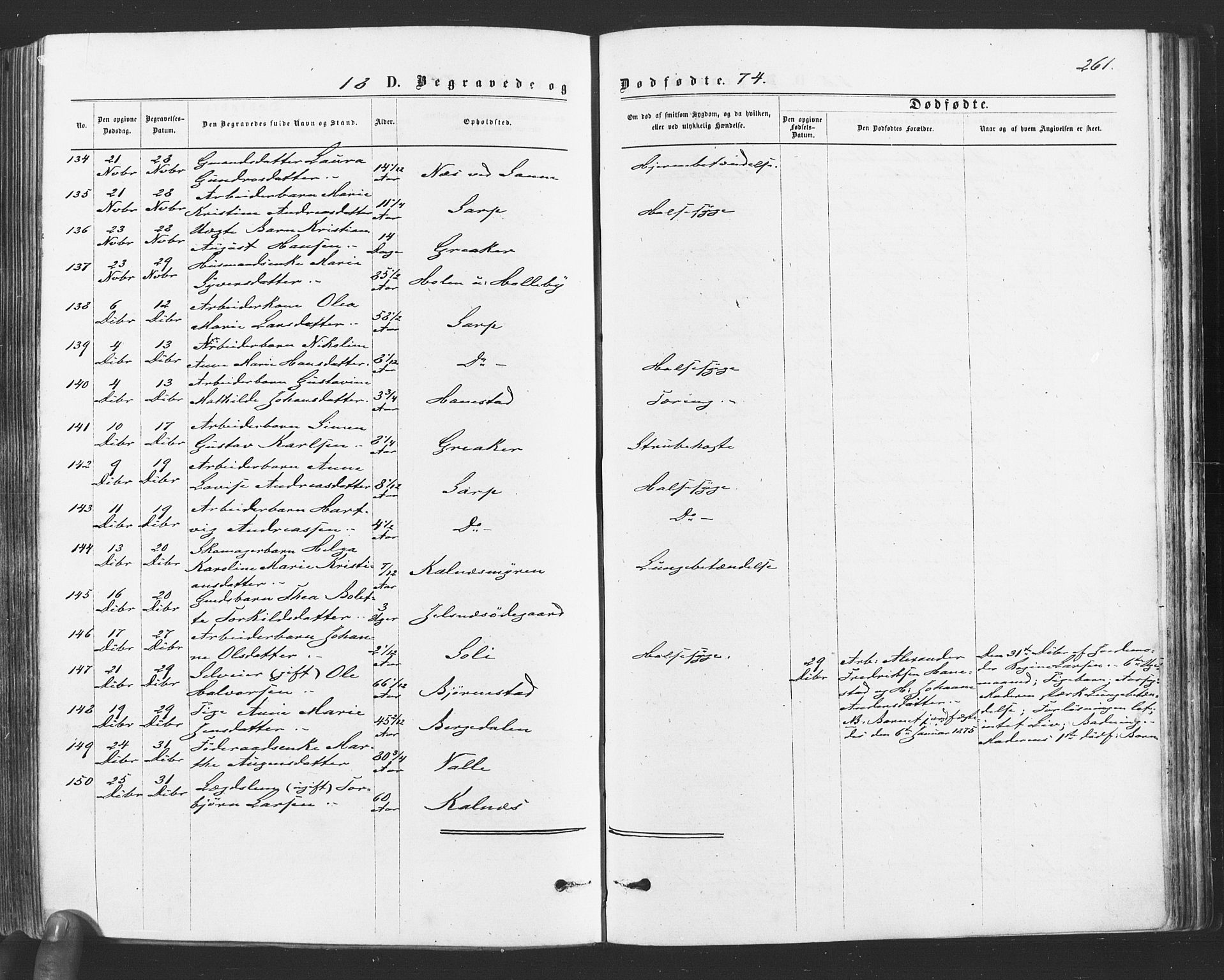 Tune prestekontor Kirkebøker, SAO/A-2007/F/Fa/L0016: Parish register (official) no. 16, 1874-1877, p. 261