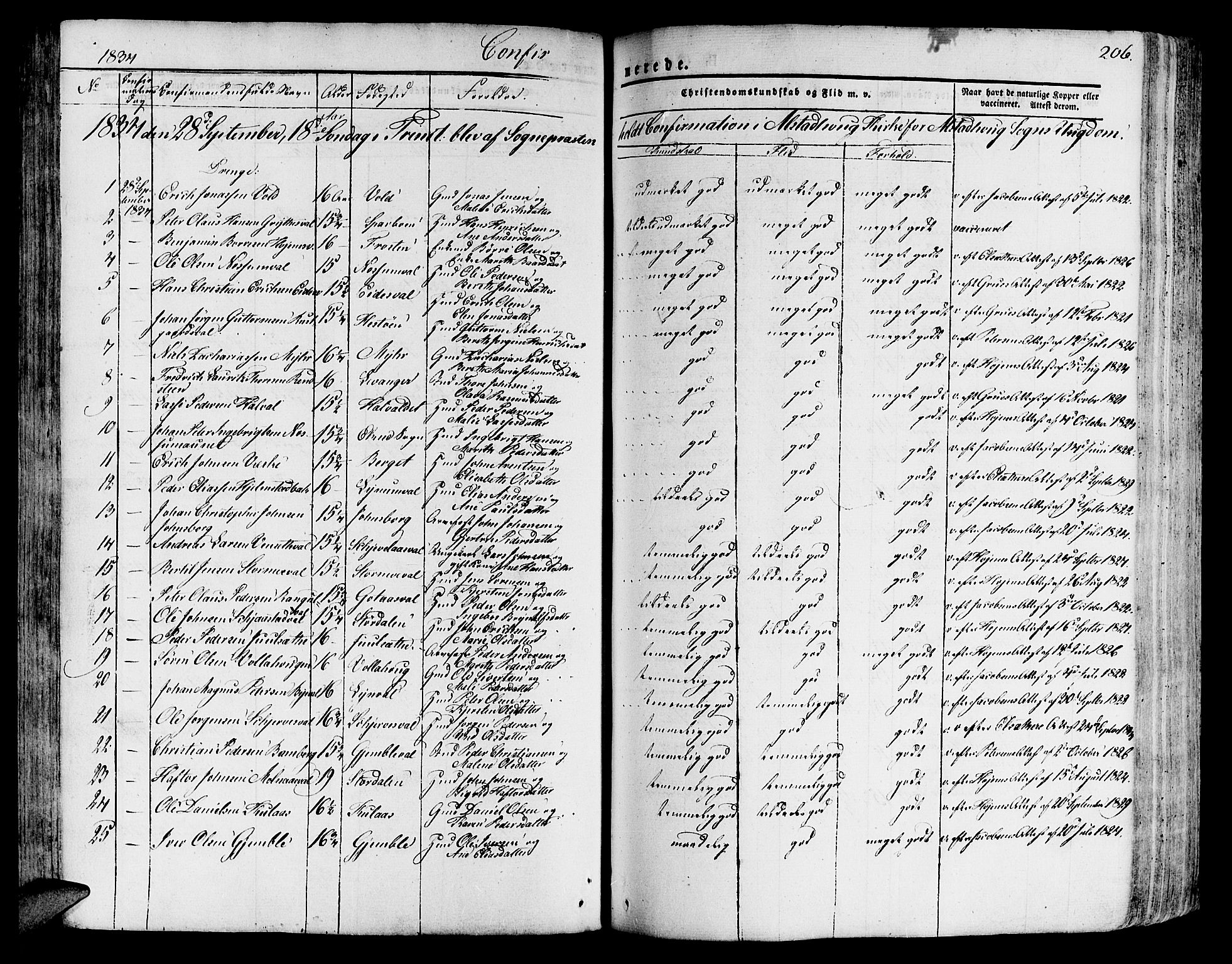 Ministerialprotokoller, klokkerbøker og fødselsregistre - Nord-Trøndelag, SAT/A-1458/717/L0152: Parish register (official) no. 717A05 /1, 1825-1836, p. 206