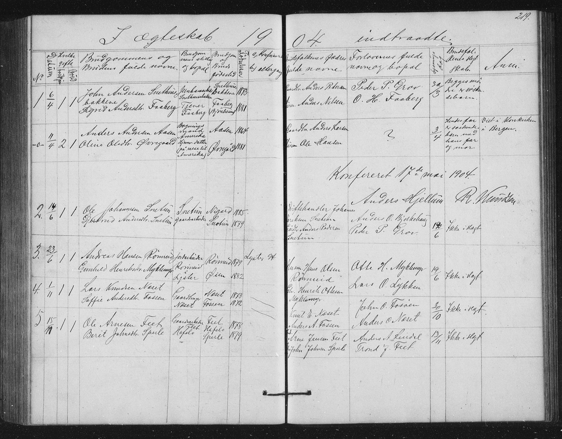 Jostedal sokneprestembete, SAB/A-80601/H/Hab/Haba/L0001: Parish register (copy) no. A 1, 1861-1906, p. 219