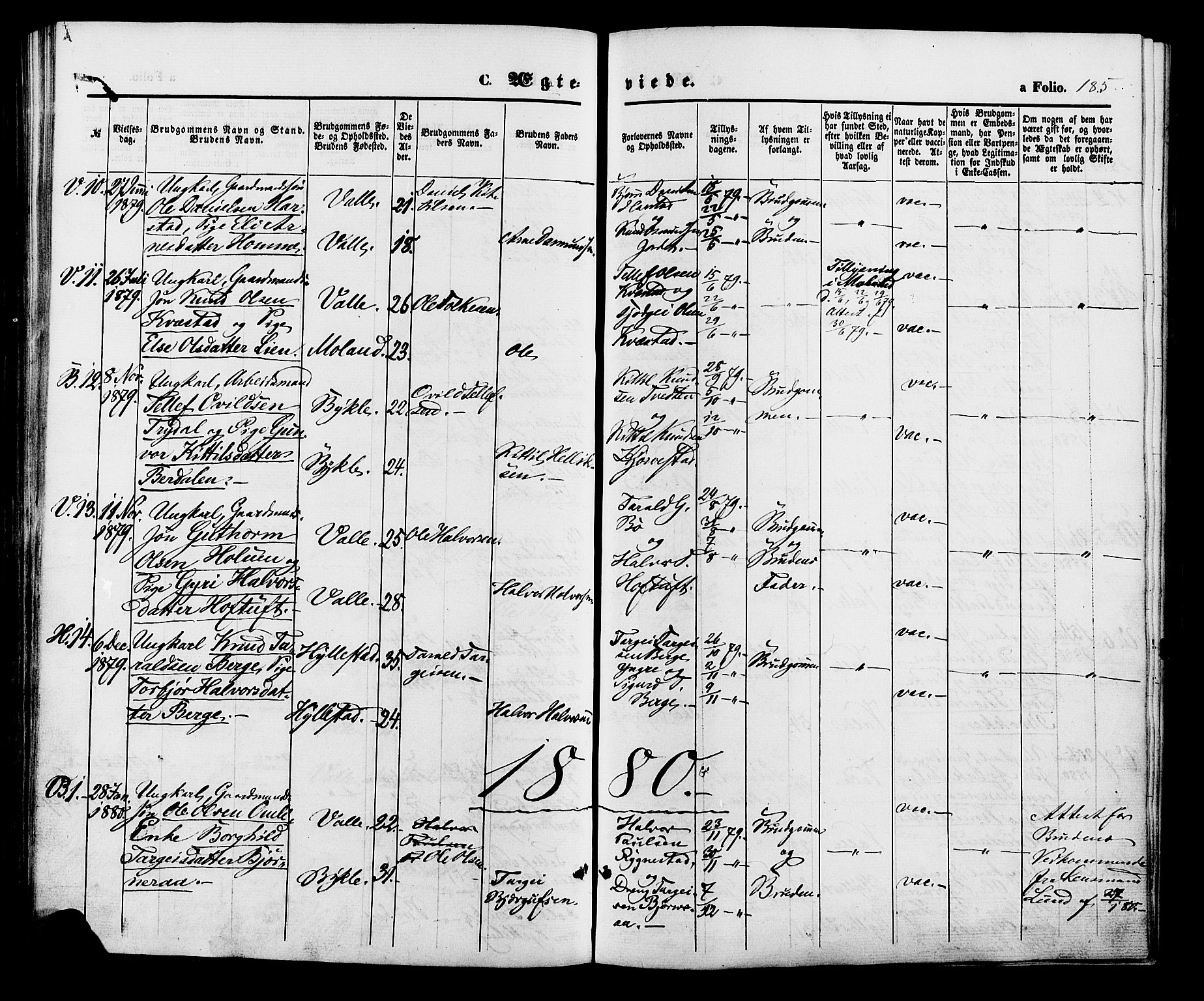 Valle sokneprestkontor, SAK/1111-0044/F/Fa/Fac/L0008: Parish register (official) no. A 8, 1868-1882, p. 185