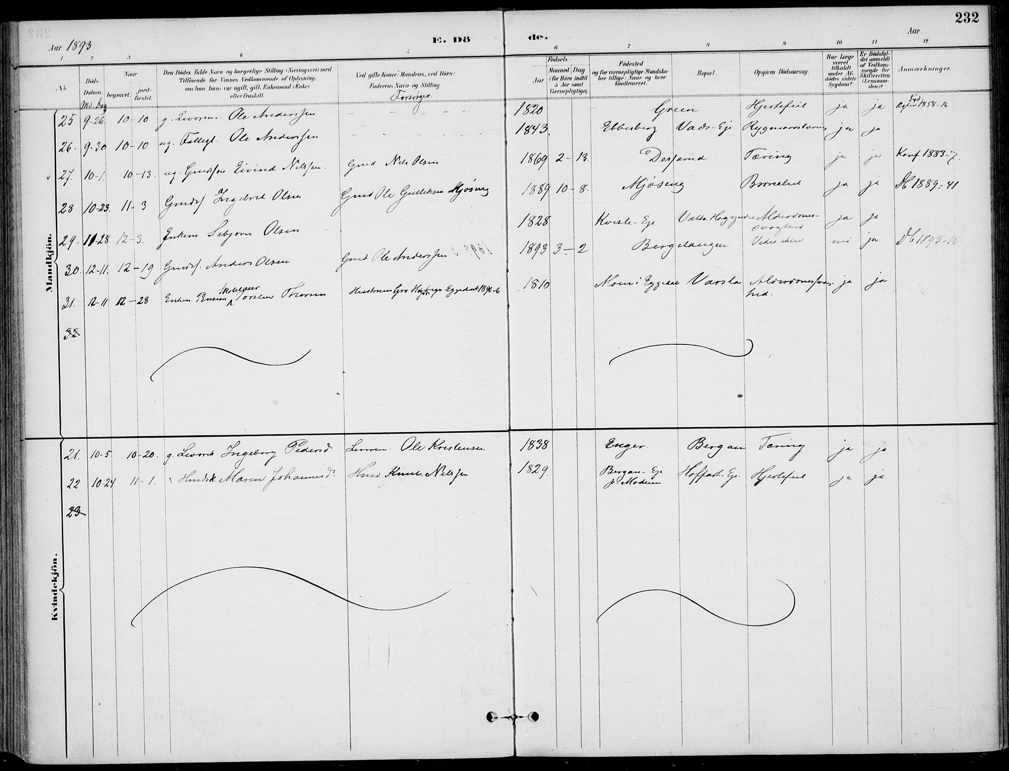 Sigdal kirkebøker, AV/SAKO-A-245/F/Fb/L0001: Parish register (official) no. II 1, 1888-1900, p. 232