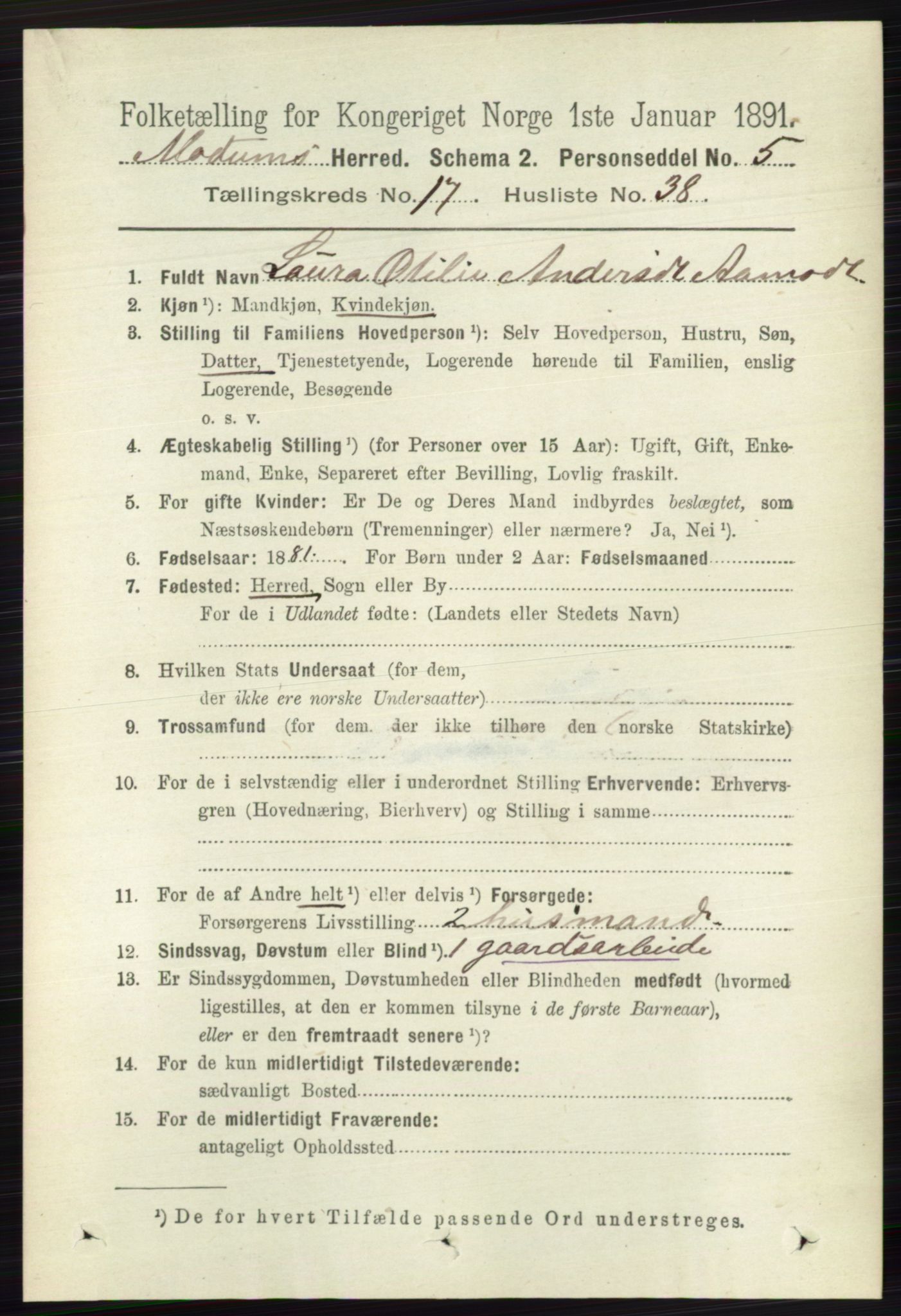 RA, 1891 census for 0623 Modum, 1891, p. 6833