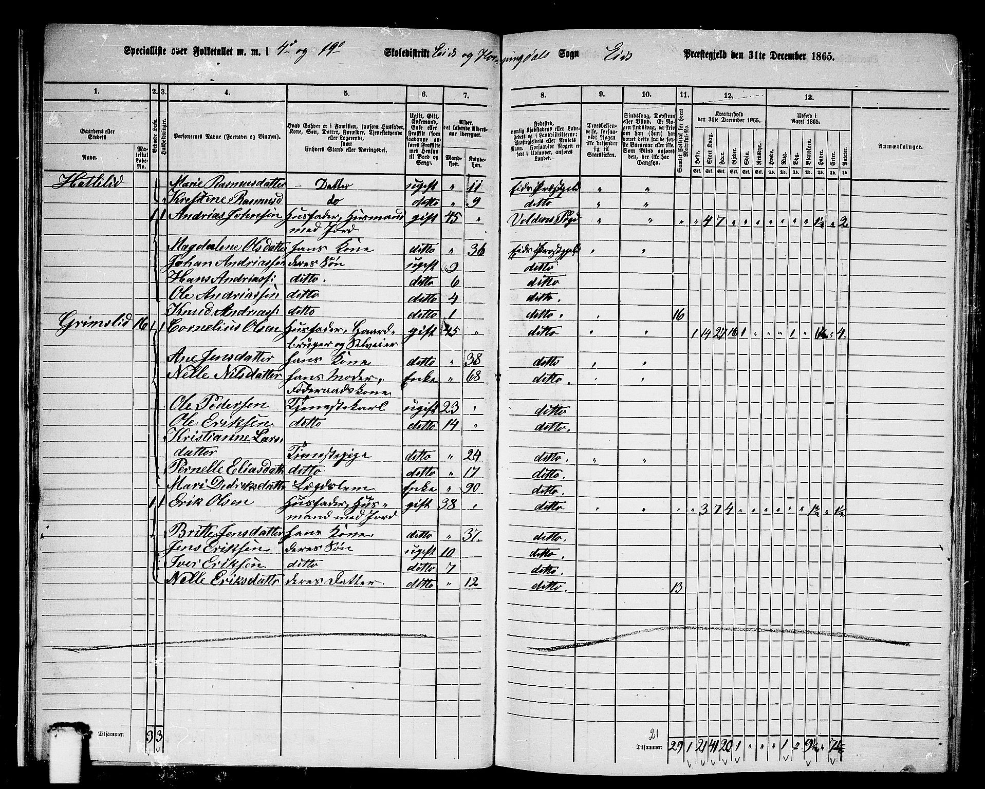 RA, 1865 census for Eid, 1865, p. 22