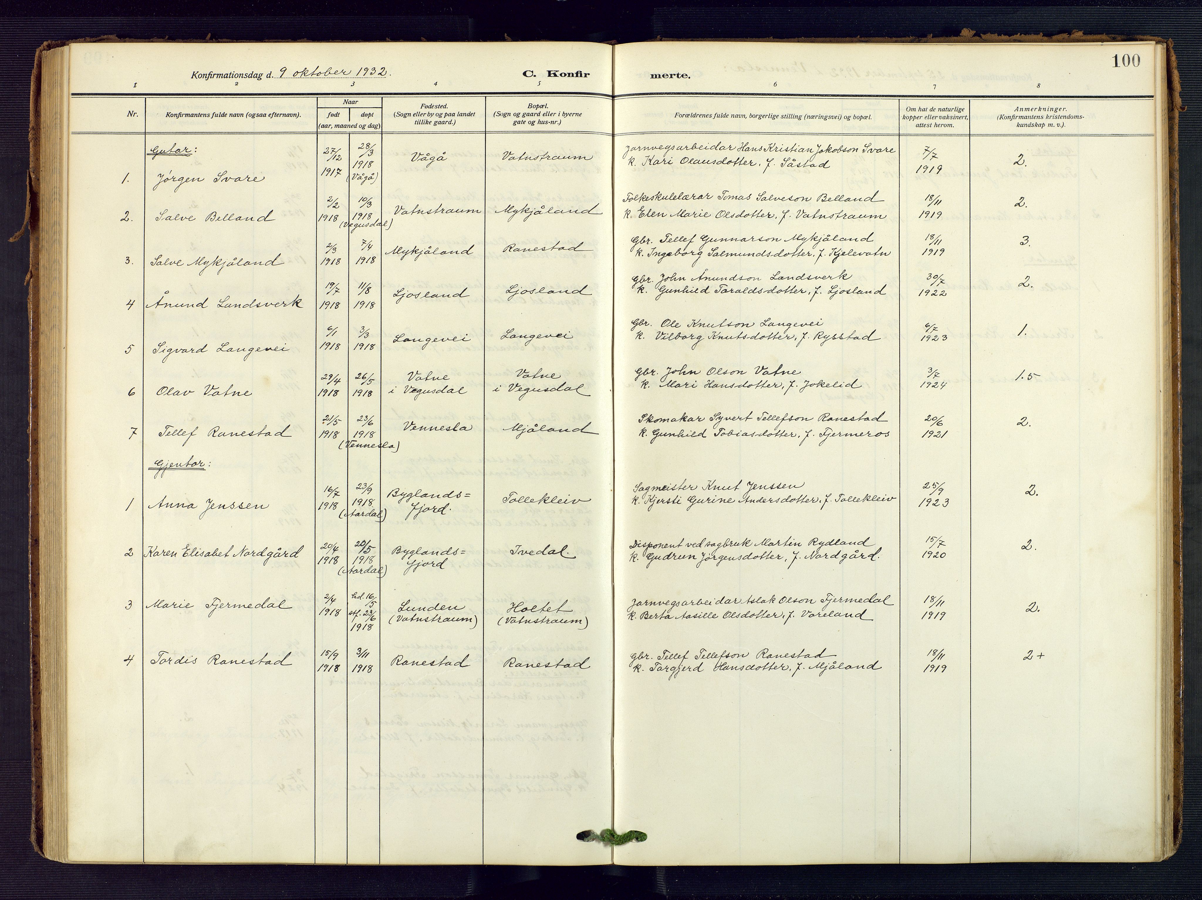 Evje sokneprestkontor, AV/SAK-1111-0008/F/Fa/Fac/L0004: Parish register (official) no. A 4, 1910-1932, p. 100