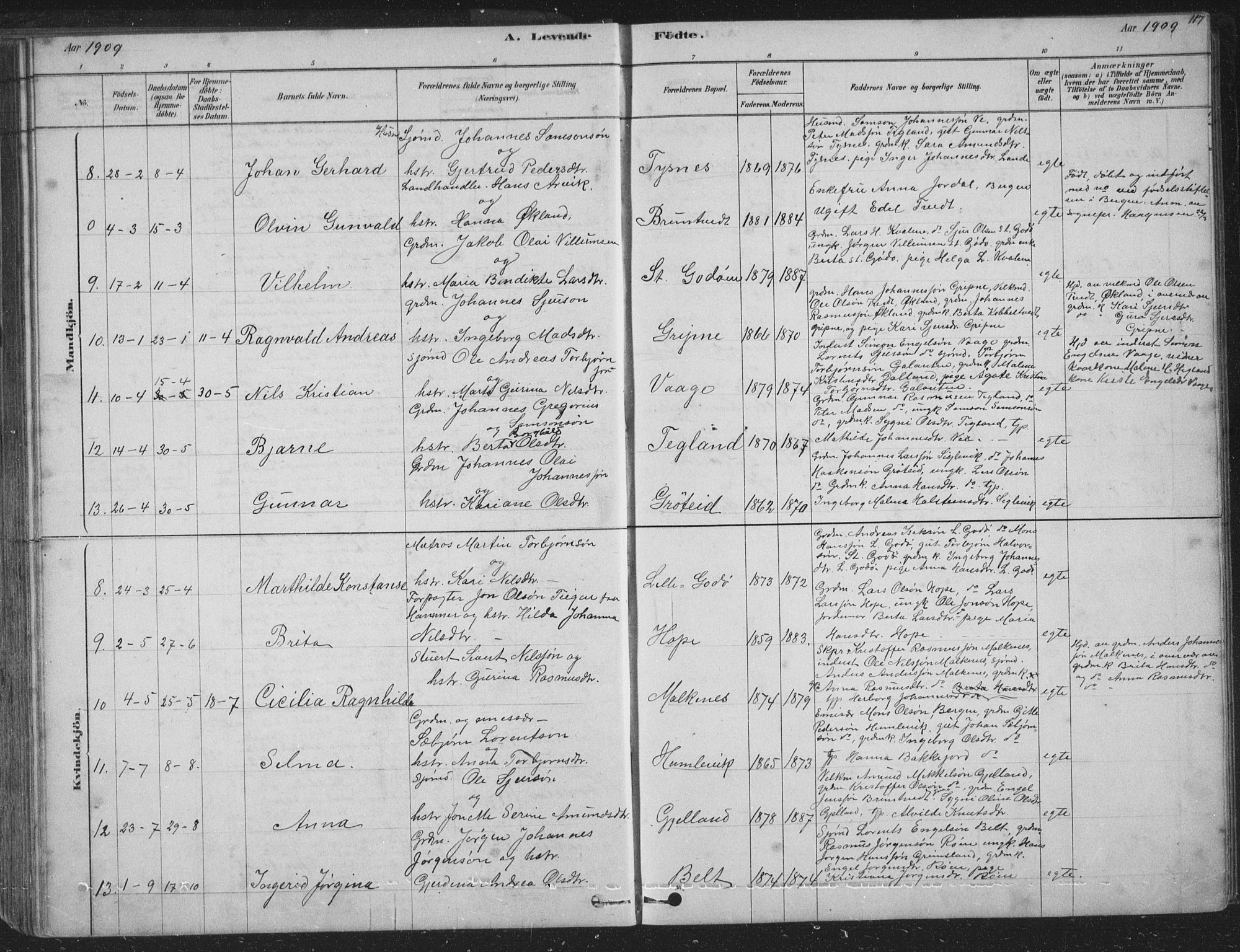 Tysnes sokneprestembete, SAB/A-78601/H/Hab: Parish register (copy) no. B 2, 1878-1918, p. 117