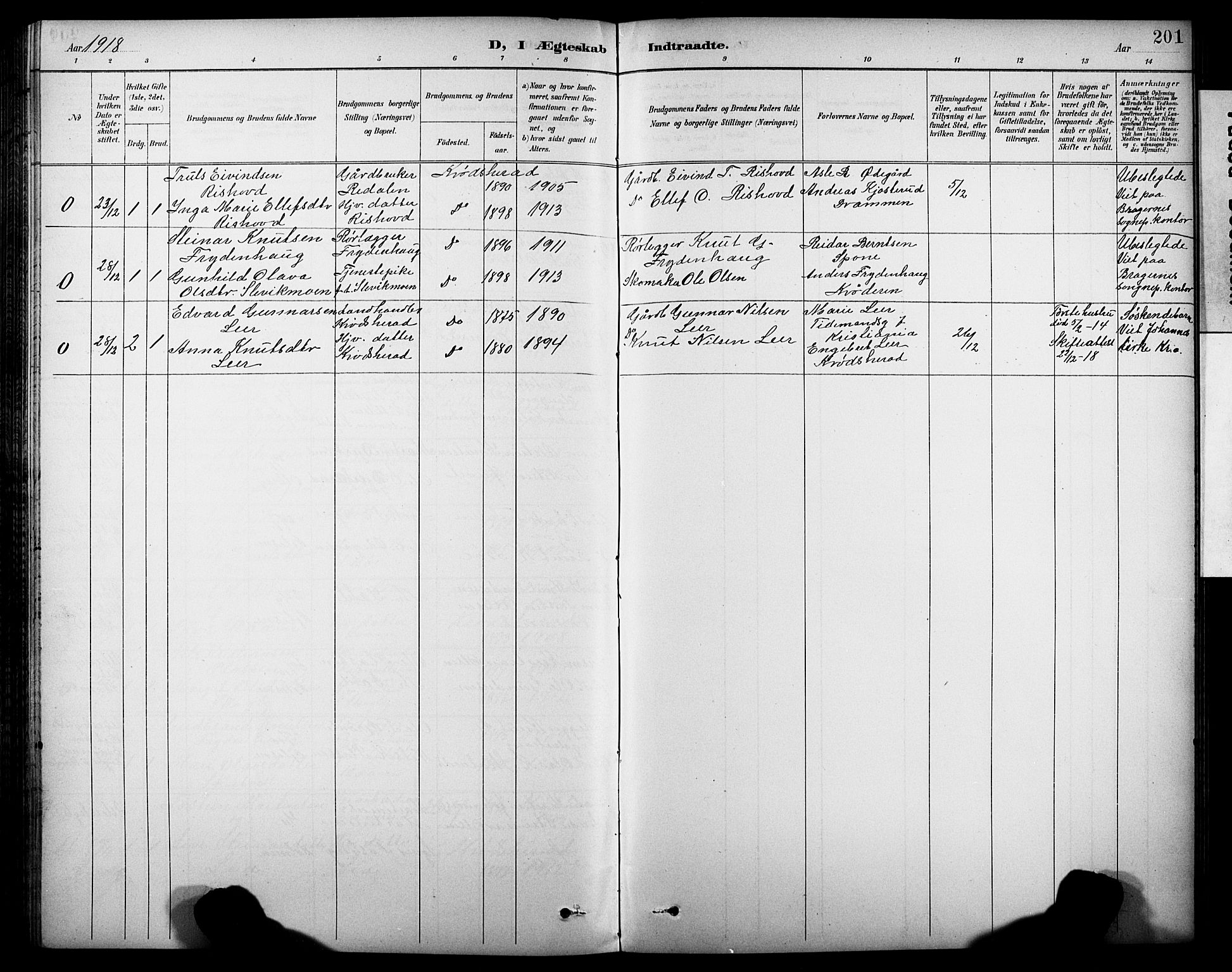 Krødsherad kirkebøker, SAKO/A-19/G/Ga/L0002: Parish register (copy) no. 2, 1894-1918, p. 201