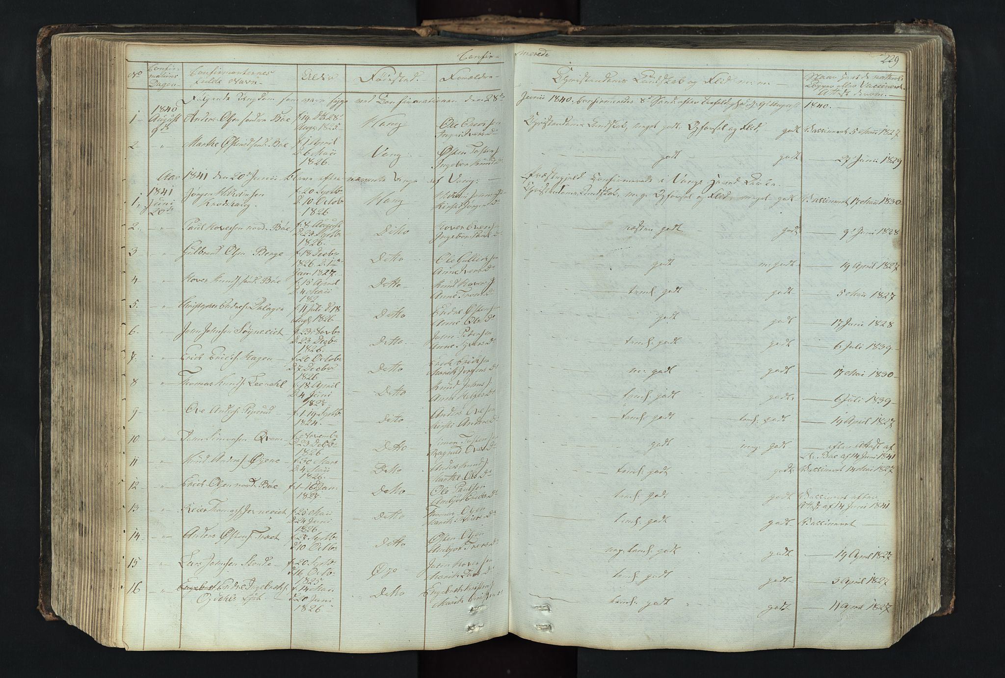 Vang prestekontor, Valdres, SAH/PREST-140/H/Hb/L0004: Parish register (copy) no. 4, 1835-1892, p. 229