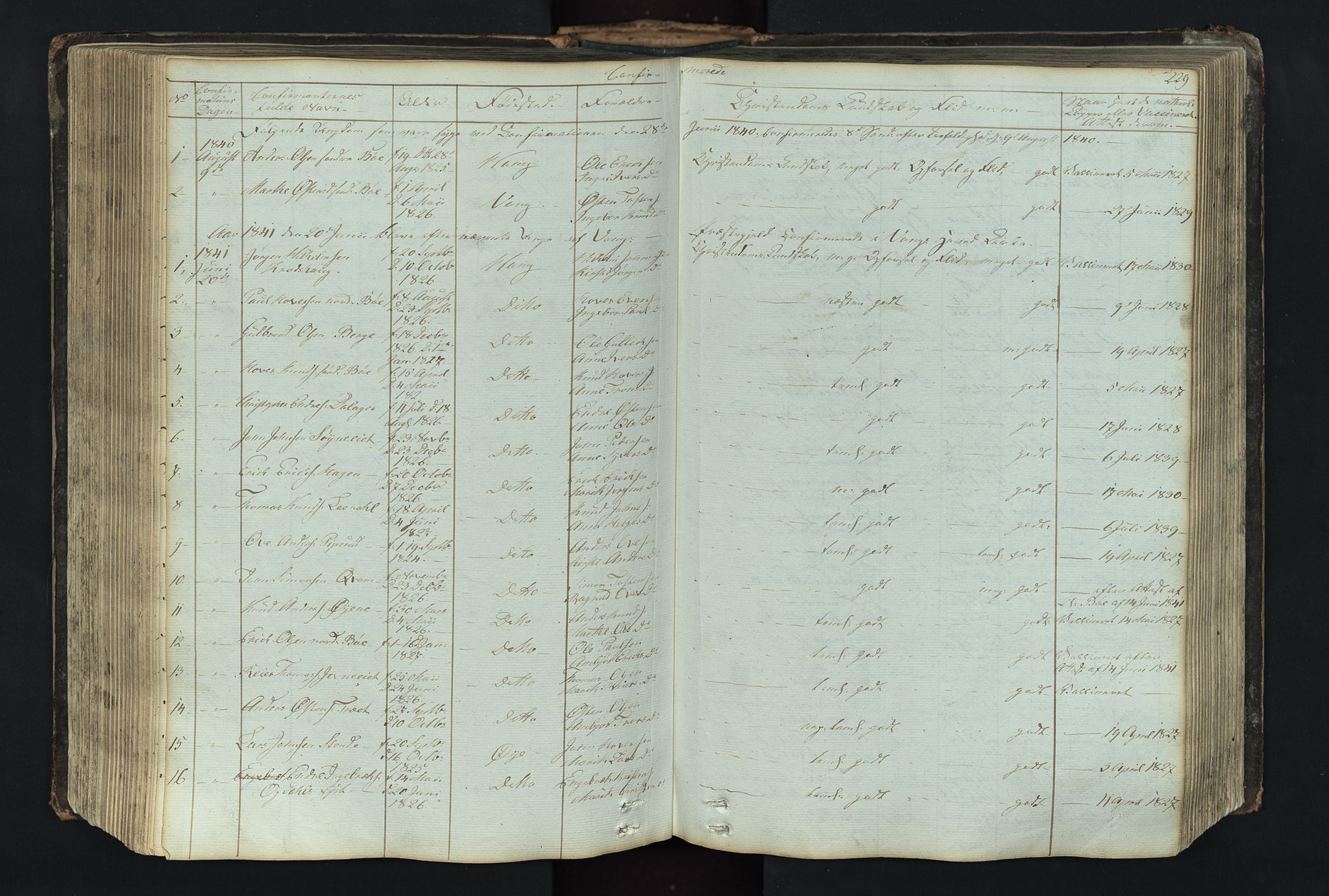 Vang prestekontor, Valdres, AV/SAH-PREST-140/H/Hb/L0004: Parish register (copy) no. 4, 1835-1892, p. 229