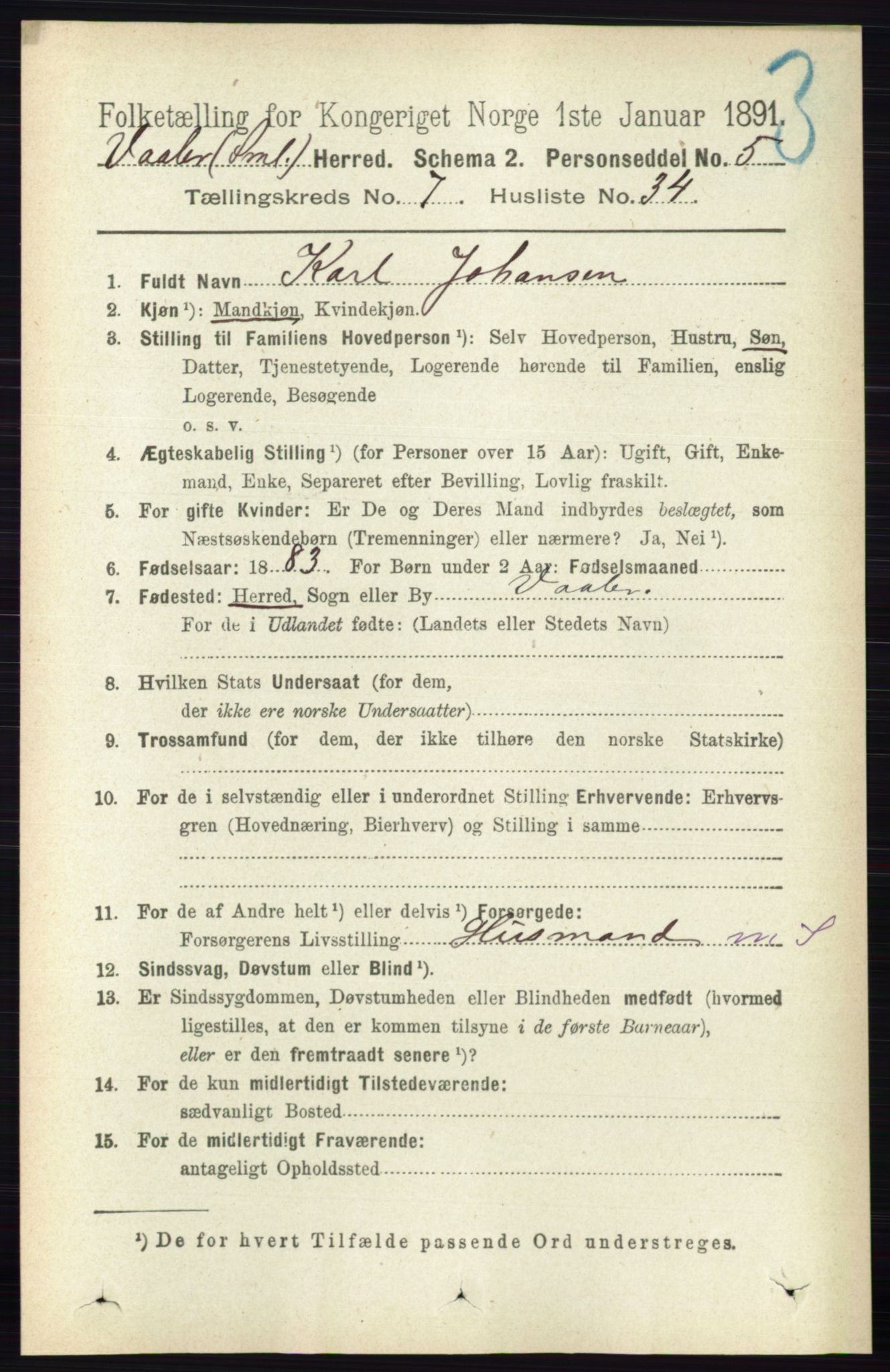 RA, 1891 census for 0137 Våler, 1891, p. 3063