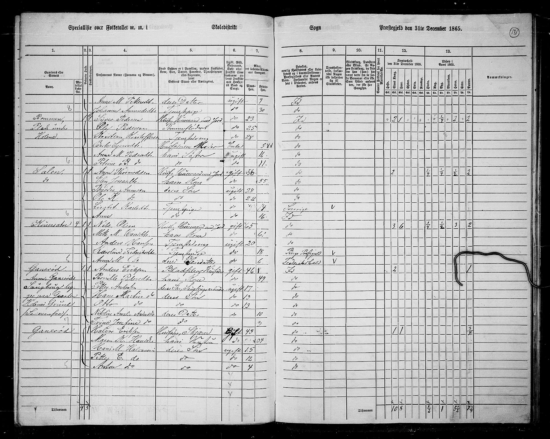 RA, 1865 census for Idd, 1865, p. 116