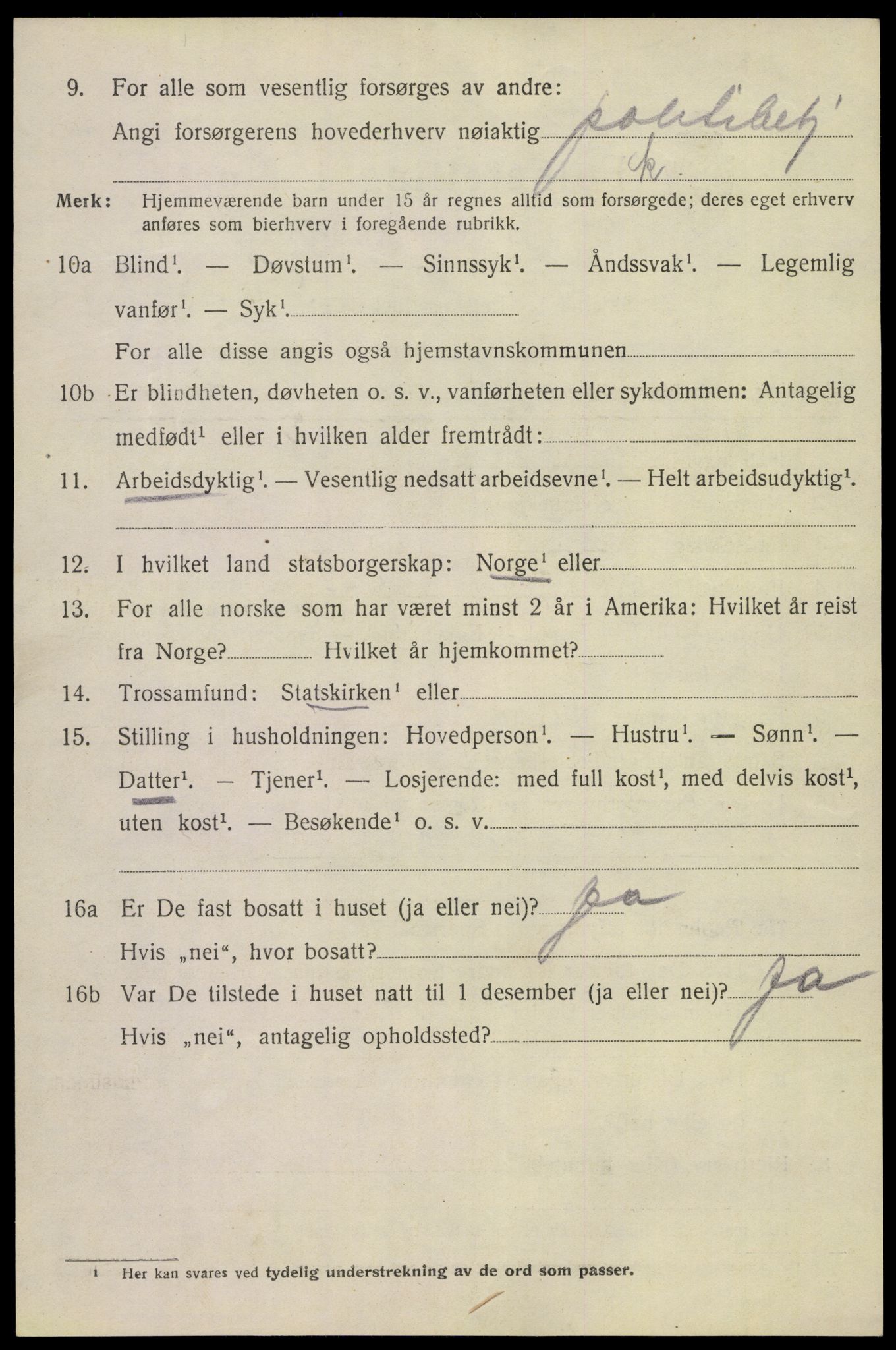 SAKO, 1920 census for Tinn, 1920, p. 8675