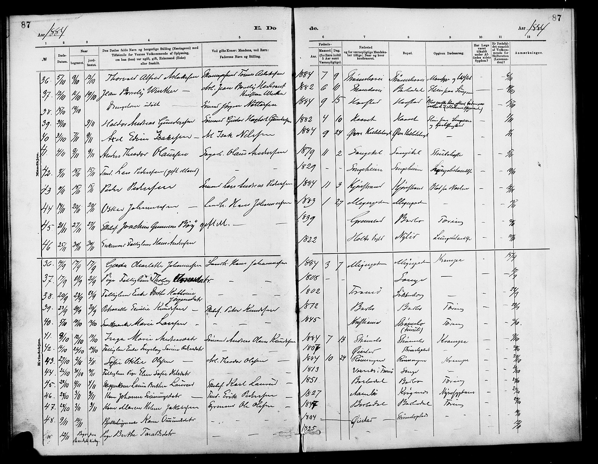 Barbu sokneprestkontor, AV/SAK-1111-0003/F/Fa/L0003: Parish register (official) no. A 3, 1883-1898, p. 87