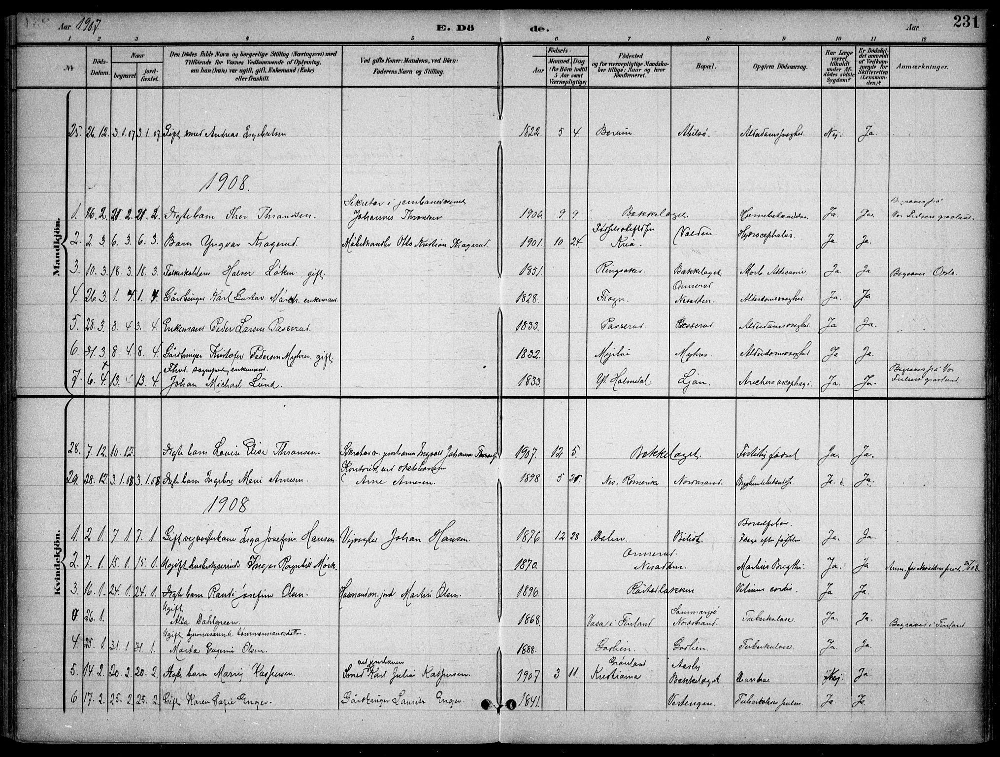 Nordstrand prestekontor Kirkebøker, SAO/A-10362a/F/Fa/L0001: Parish register (official) no. I 1, 1900-1914, p. 231
