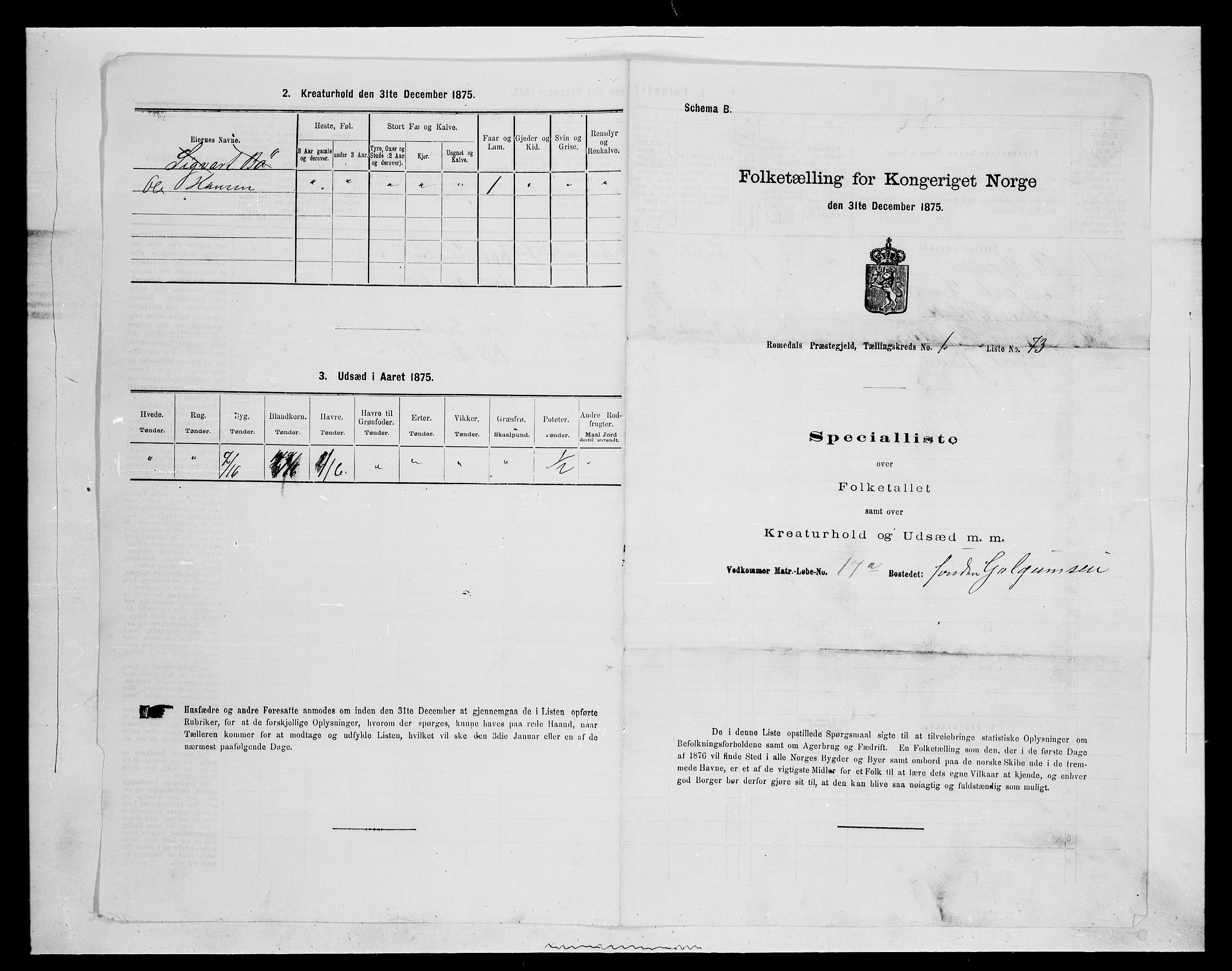 SAH, 1875 census for 0416P Romedal, 1875, p. 265