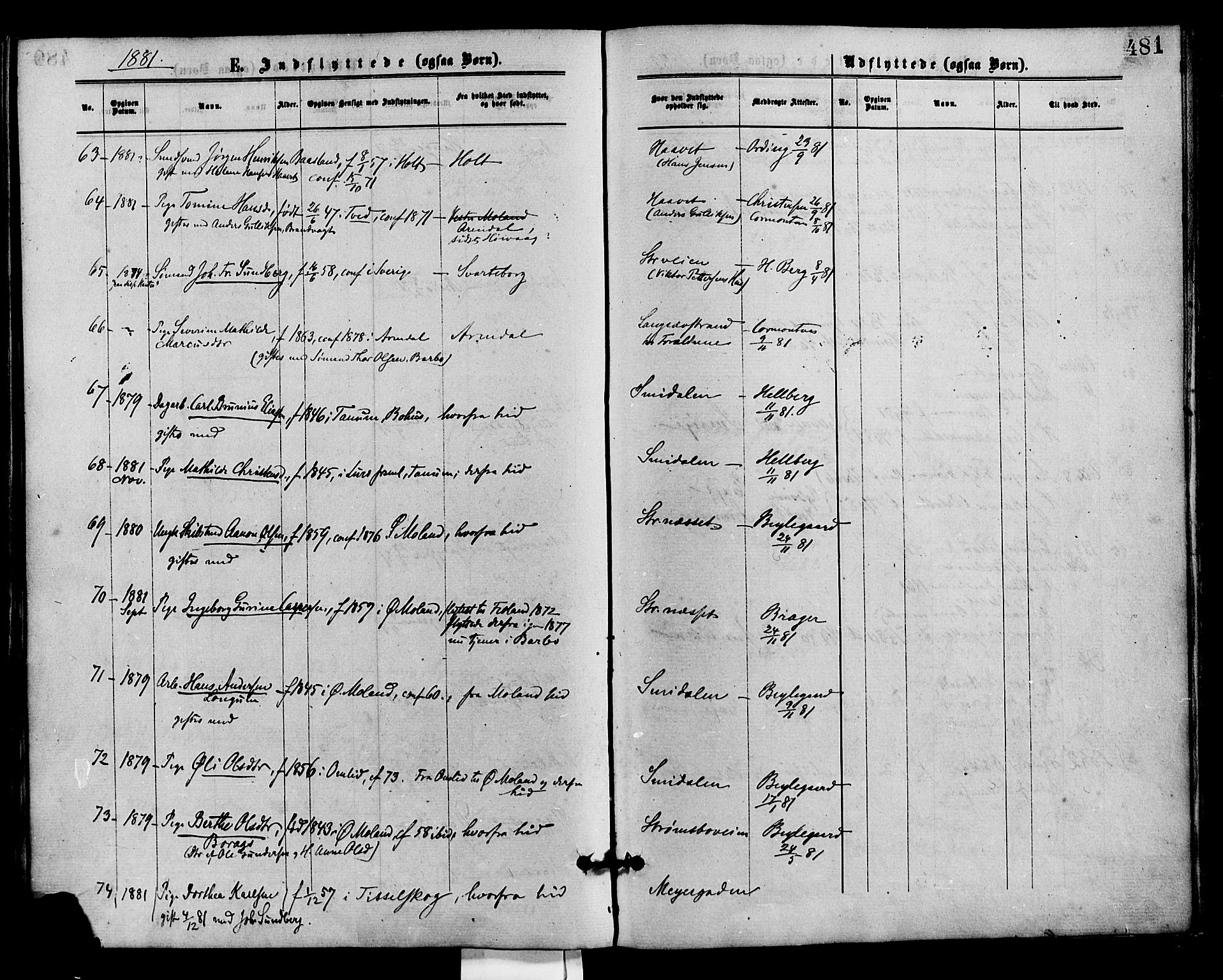 Barbu sokneprestkontor, AV/SAK-1111-0003/F/Fa/L0001: Parish register (official) no. A 1 /1, 1878-1883, p. 481