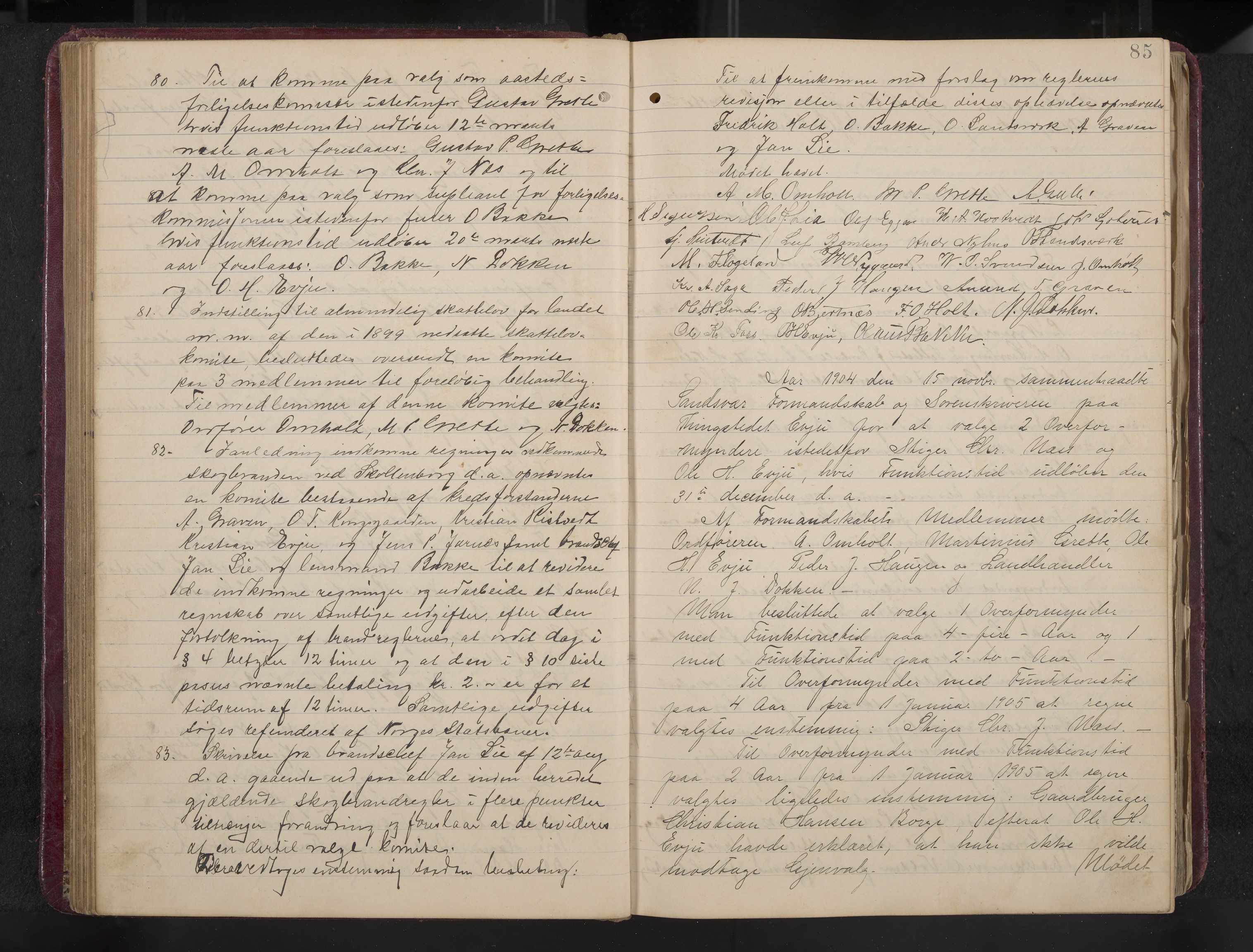 Ytre Sandsvær formannskap og sentraladministrasjon, IKAK/0629021/A/Aa/L0001: Møtebok med register, 1902-1919, p. 85