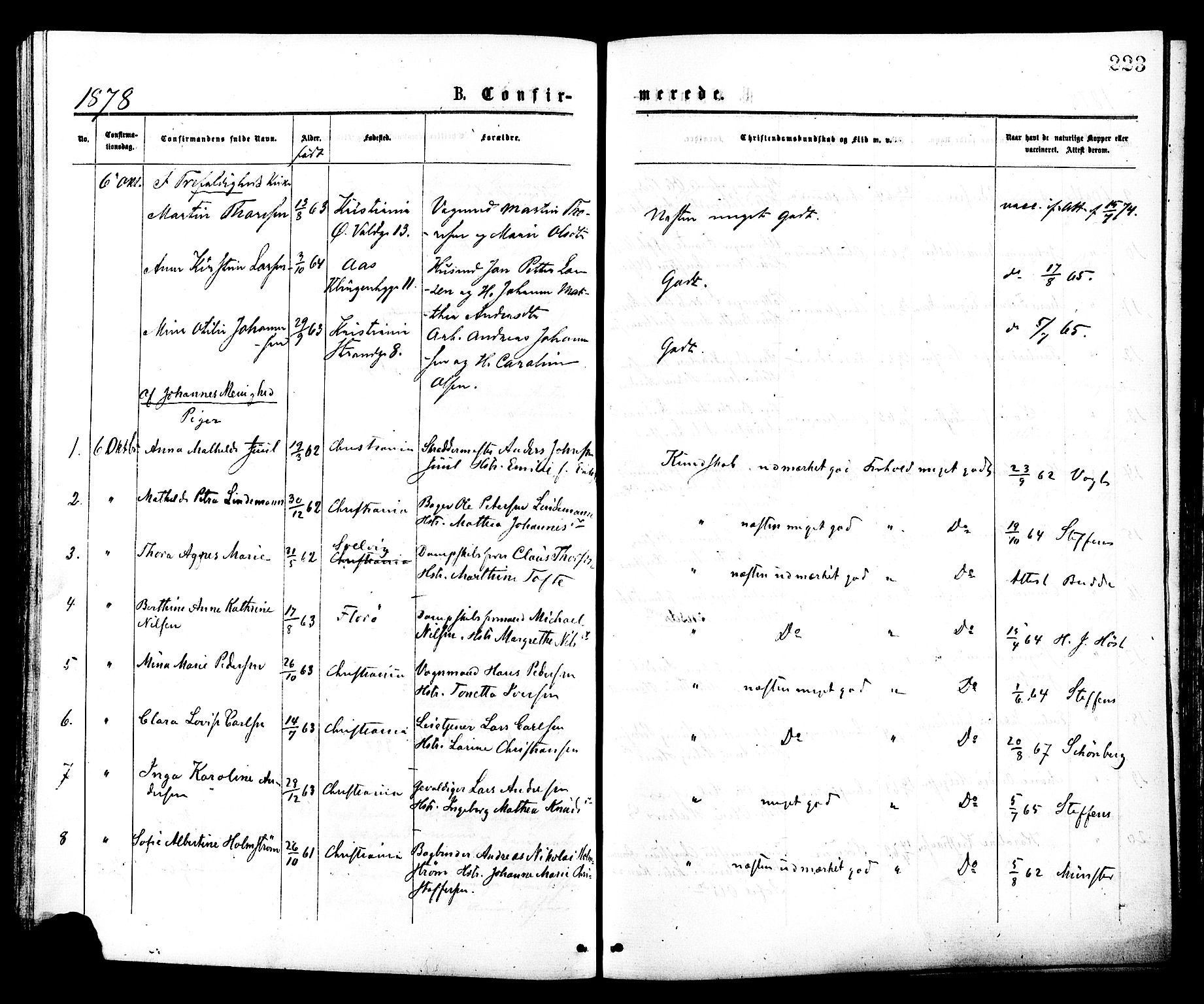 Johannes prestekontor Kirkebøker, AV/SAO-A-10852/F/Fa/L0001: Parish register (official) no. 1, 1875-1881, p. 223